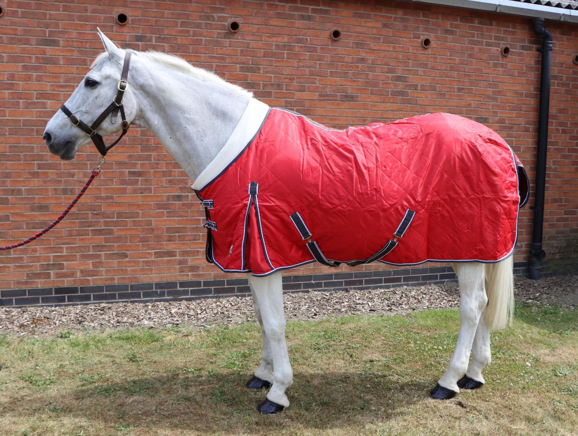 Ruggles 50g Lightweight Stable Rug With Fleece Collar | Smart Versatile Rug Perfect for Warmer Days or as an Under Layer in Colder Weather (Red, 5' 9")