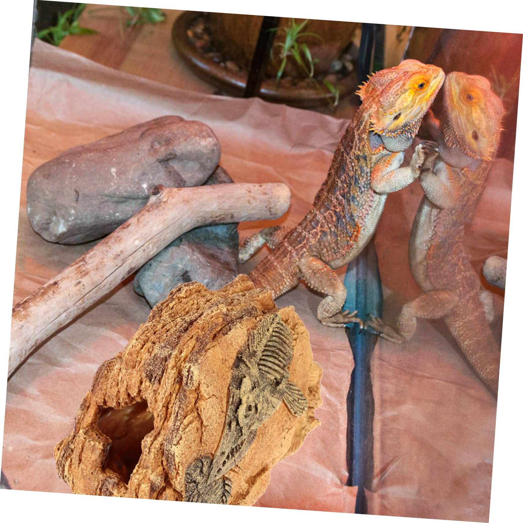 Plataforma De Reptiles Cueva Oculta para Refugio Natural De Resina para Tortugas y Serpientes Decoración De Estable y Duradera