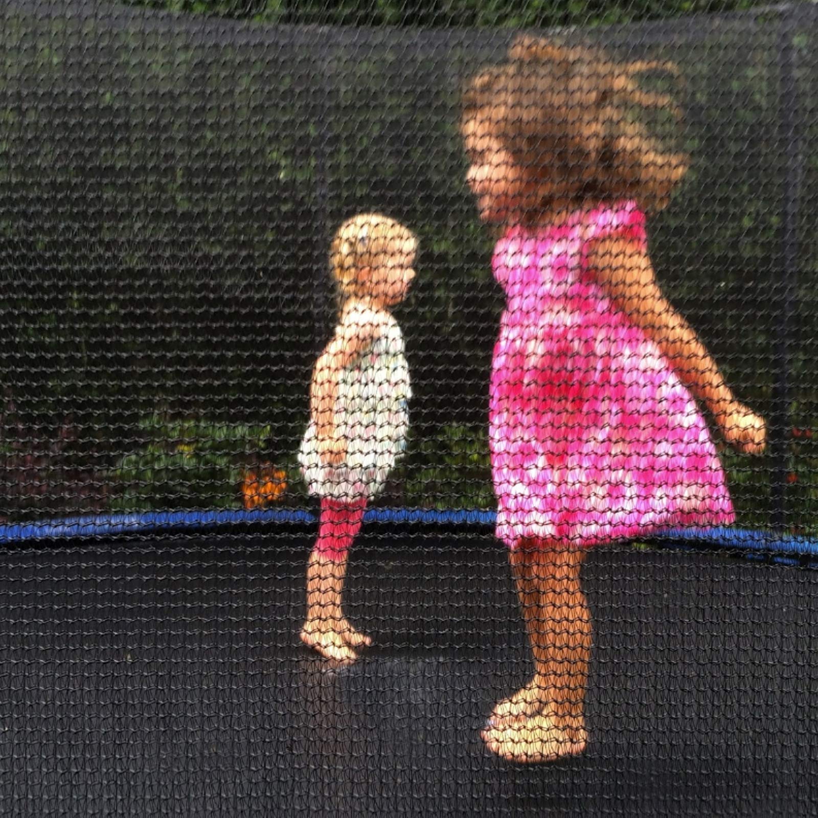 Cliselda Filet Trampoline 244 305 366 397 423 cm,Filet de Protection pour Trampolines 6 8 Barres,Résistant aux UV - Noir/Bleu/Vert/Rose