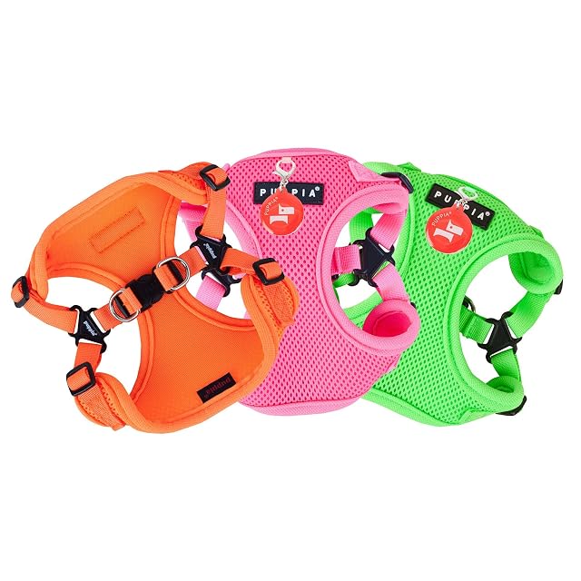 Foto 2 de 4 de Puppia Arnés Authentic Neon Soft C