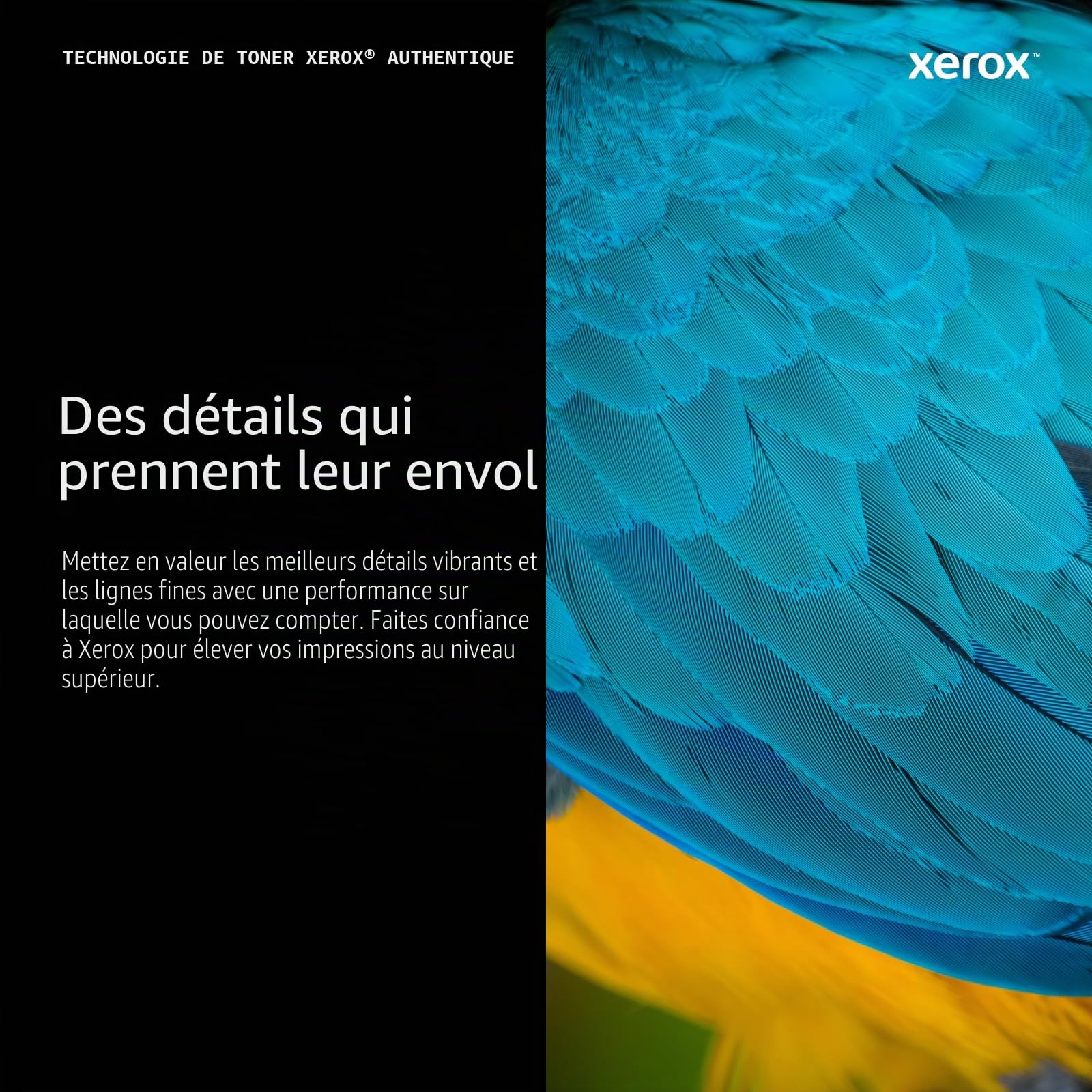 Xerox Cartouche de Toner d'Origine C320 / C325 Noir Capacité Standard (2,200 pages) - 006R04823