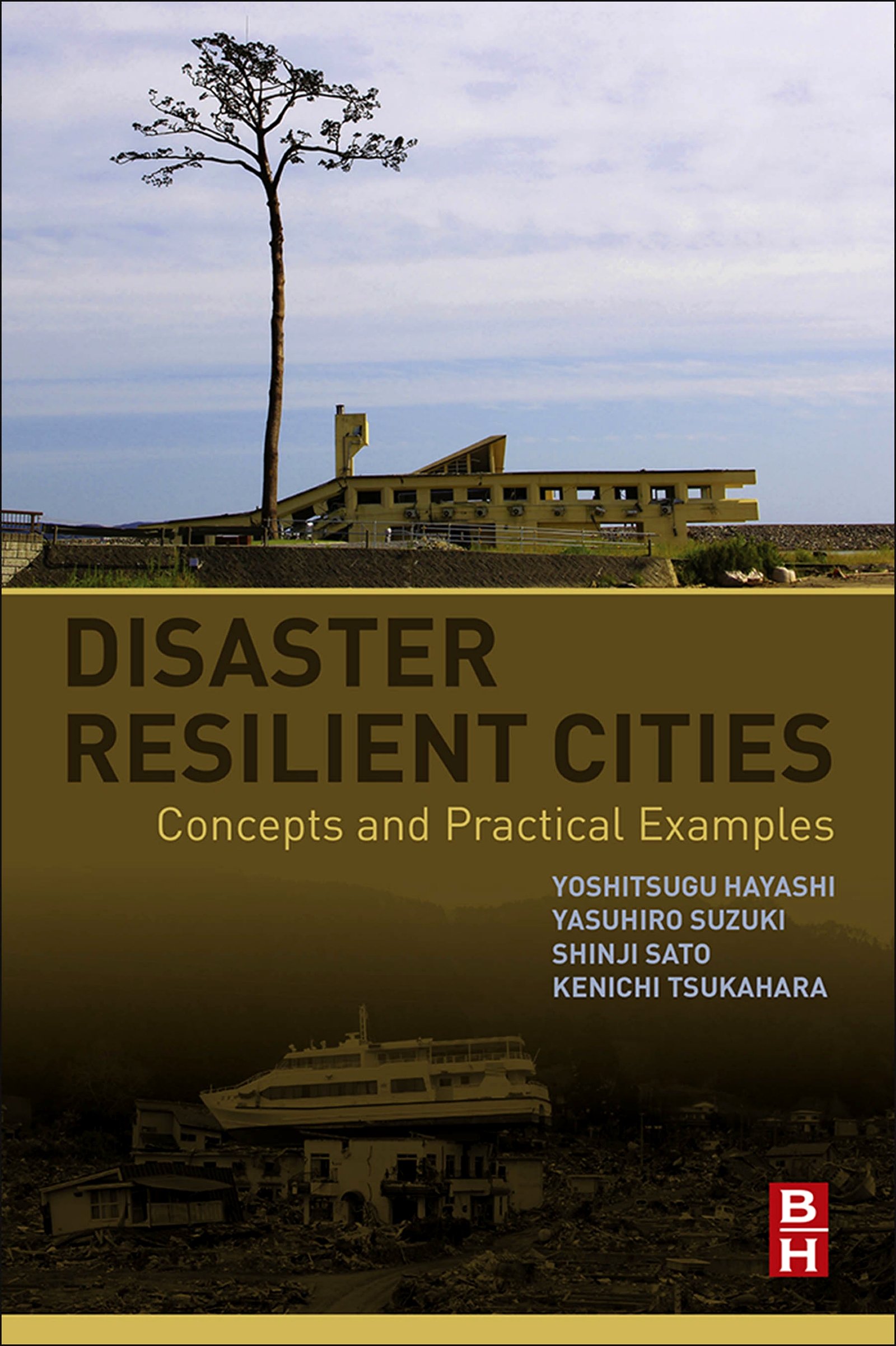 Disaster Resilient Cities exemples pratiques pour am&eacute;nagement urbain durable