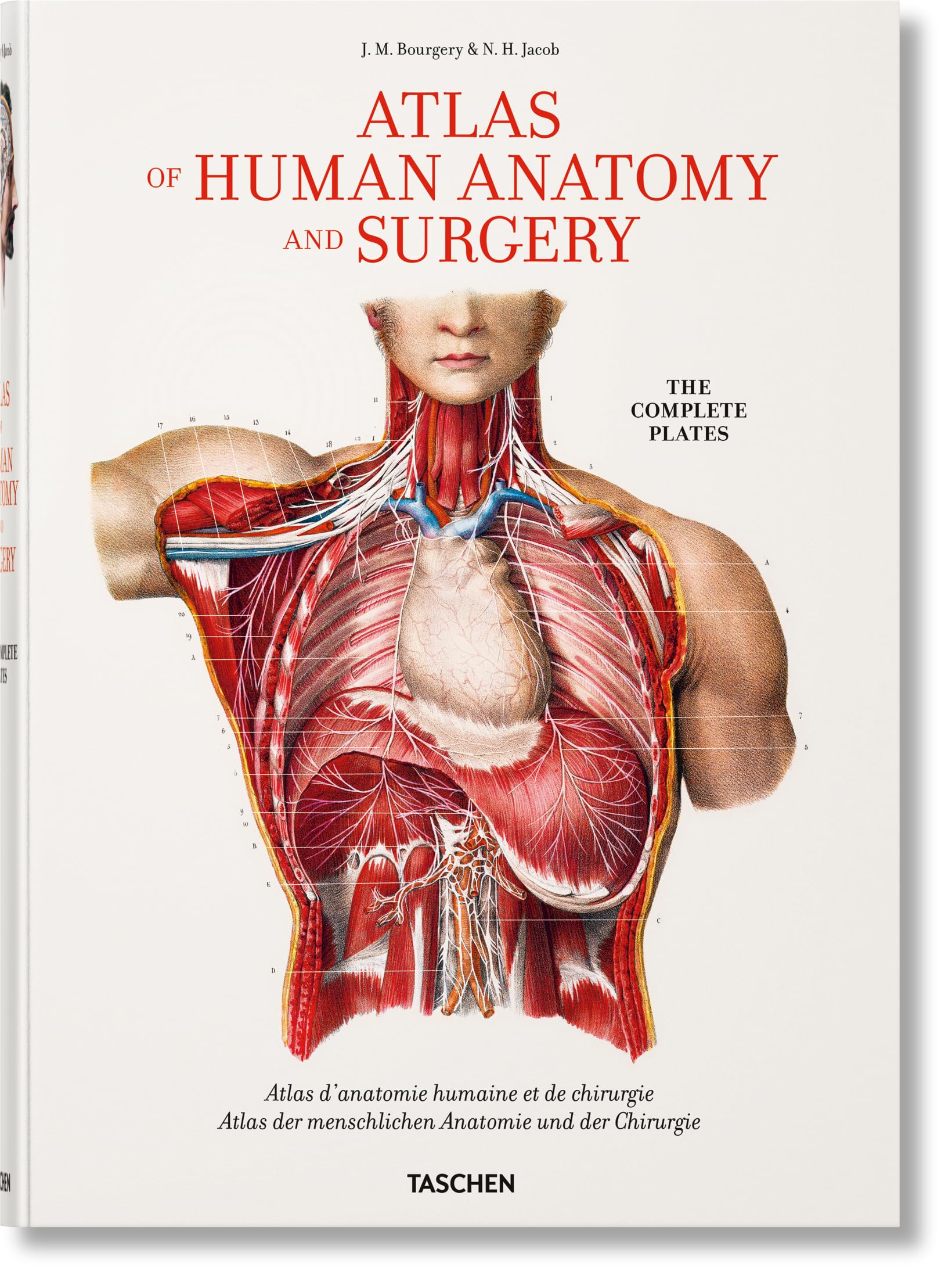 Bourgery. Atlas of Human Anatomy and Surgery (Multilingual Edition) Hardcover – October 6, 2017