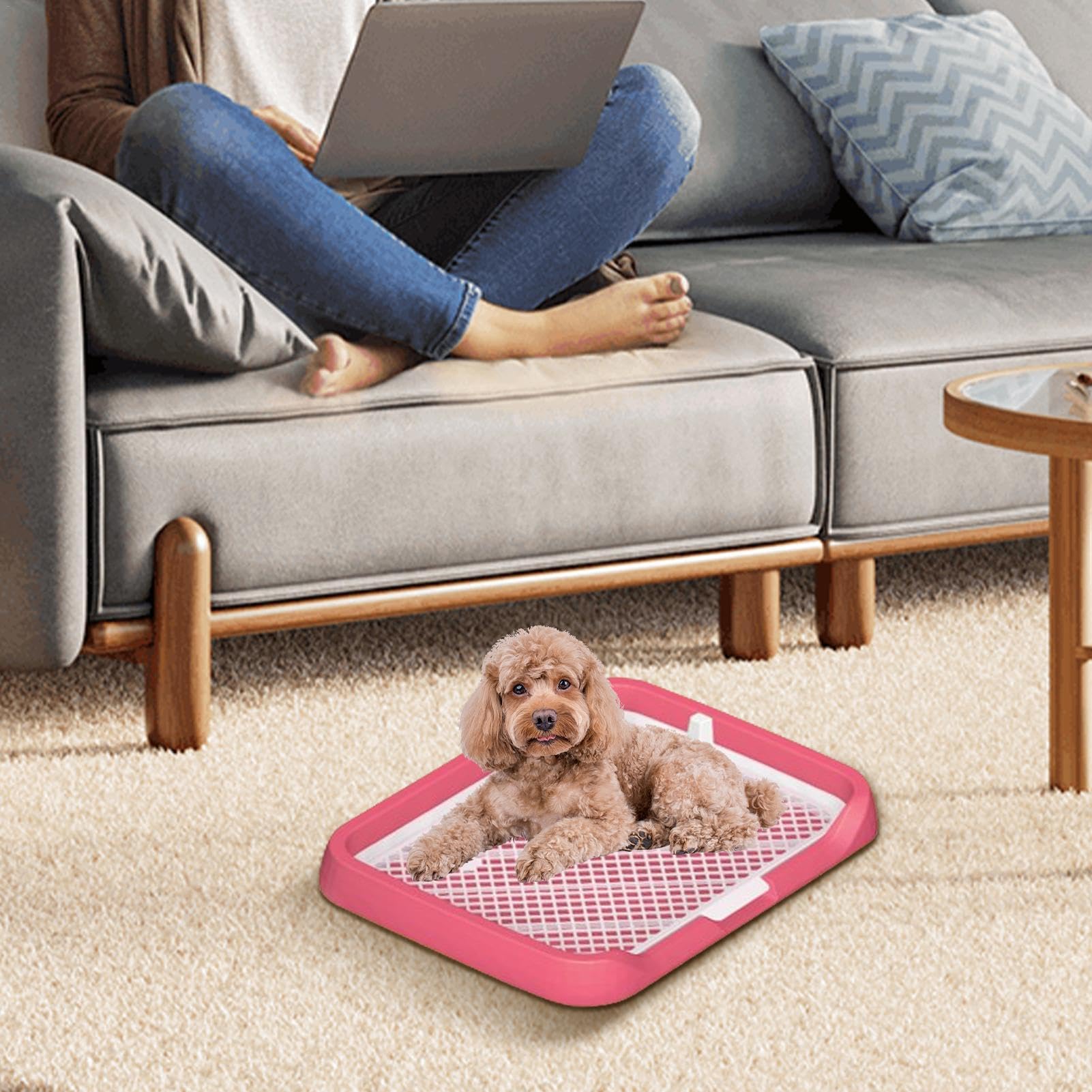Mesh Grids Toilette - Pee Pad Flat Potty Tray for Dogs with Mesh Grids - Reusable Easy Installation Pee Holder Pet Potty Supplies for Dogs, Puppies, Pets