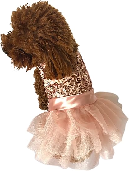 Rose gold dog dress Clearance