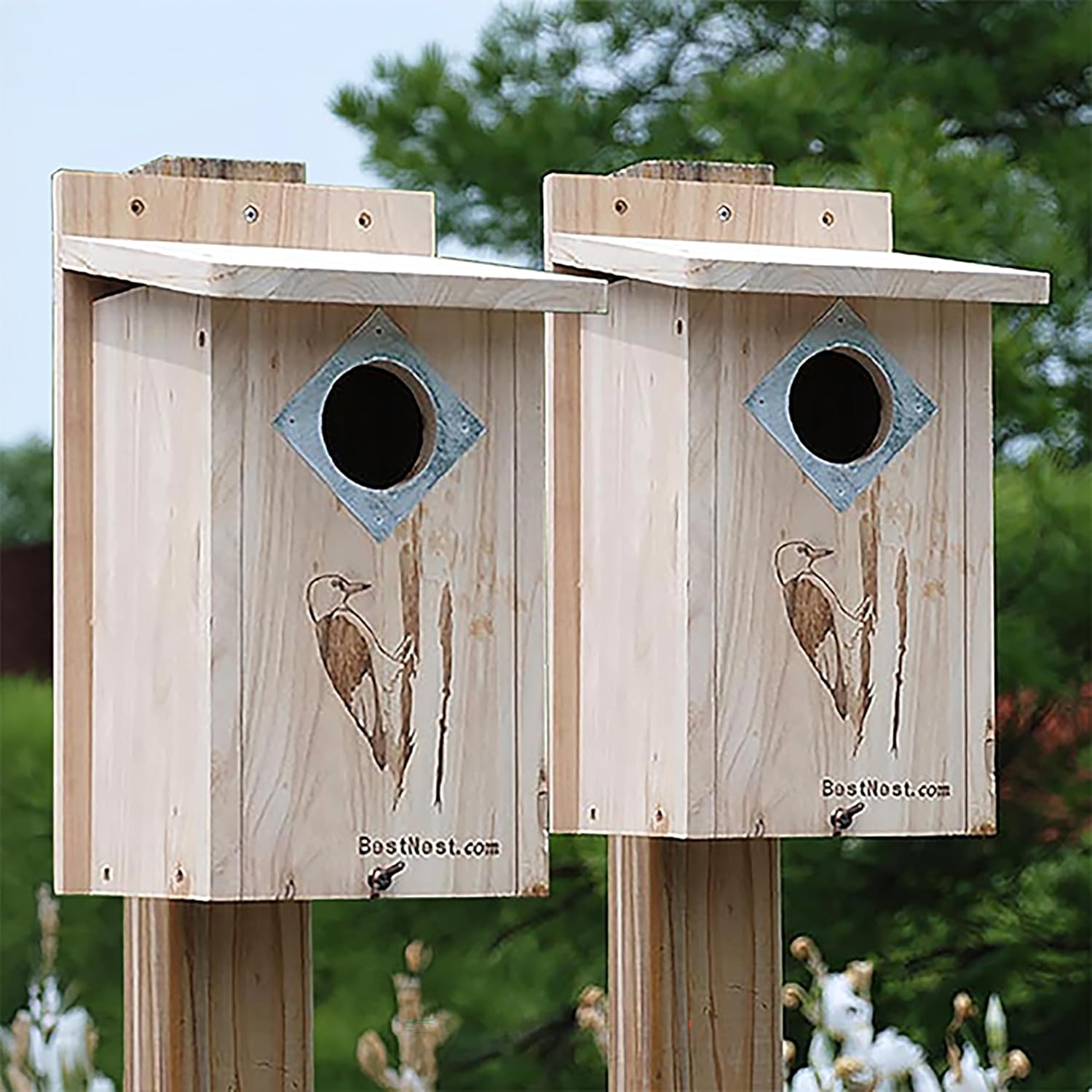 BestNest Classic Three-Woodpecker Houses, Pack of 2 – Durable All-Wood Birdhouses with 2.5" Entry Hole & Metal Guard – Ideal Roosting Boxes for Red-Headed, Hairy & Red-Bellied Woodpeckers