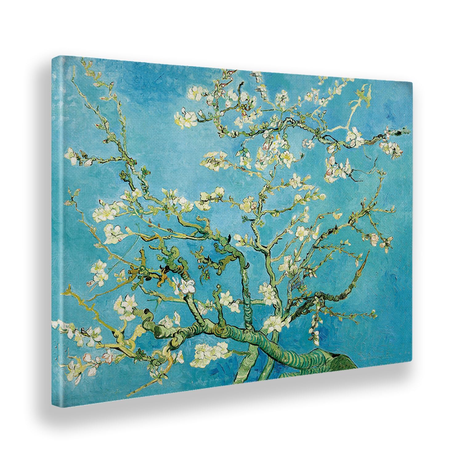 Giallobus - Quadro - Vincent Van Gogh - Fiori di mandorlo - Tela Canvas Telaio Standard - 100L x 70l cm - Pronto da appendere - Quadri moderni per la casa