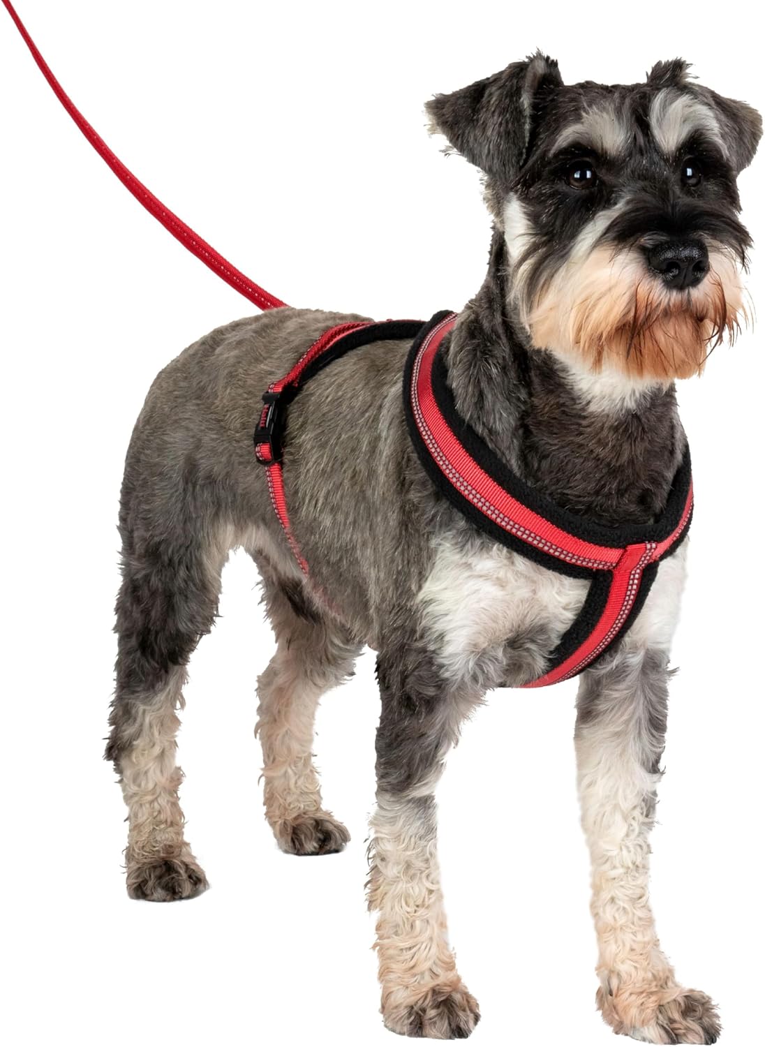 HALTI Comfy Harness - Lightweight, Fleece-Lined, Reflective & Adjustable Dog Harness, Front & Back Ring for a Dog Leash, Great for Puppy Walks. Suitable for Small Dogs and Puppies (Size Small)