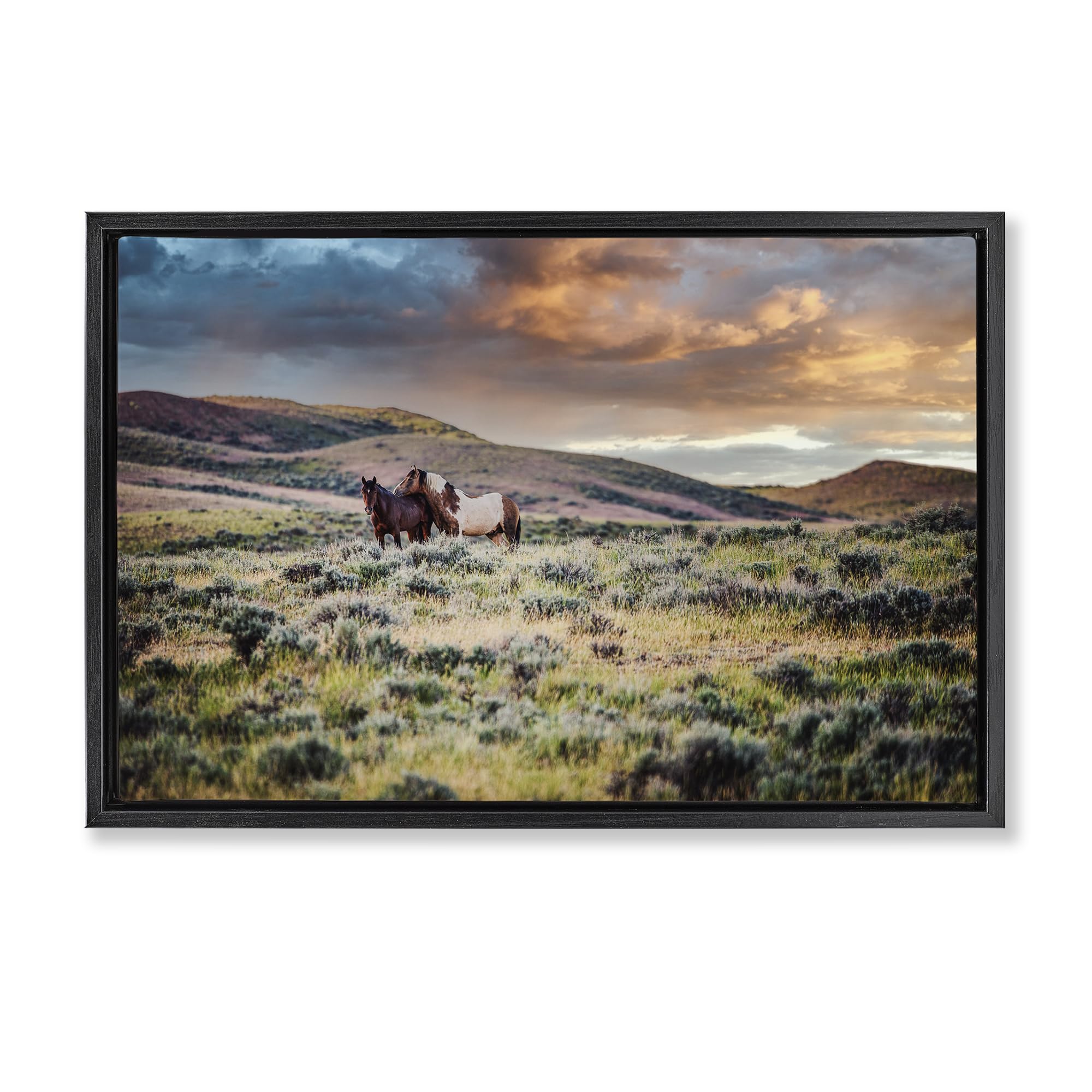 Stupell Industries Jet Black (Matte) 'Stay Close Horses'| Floating Frame Canvas Art