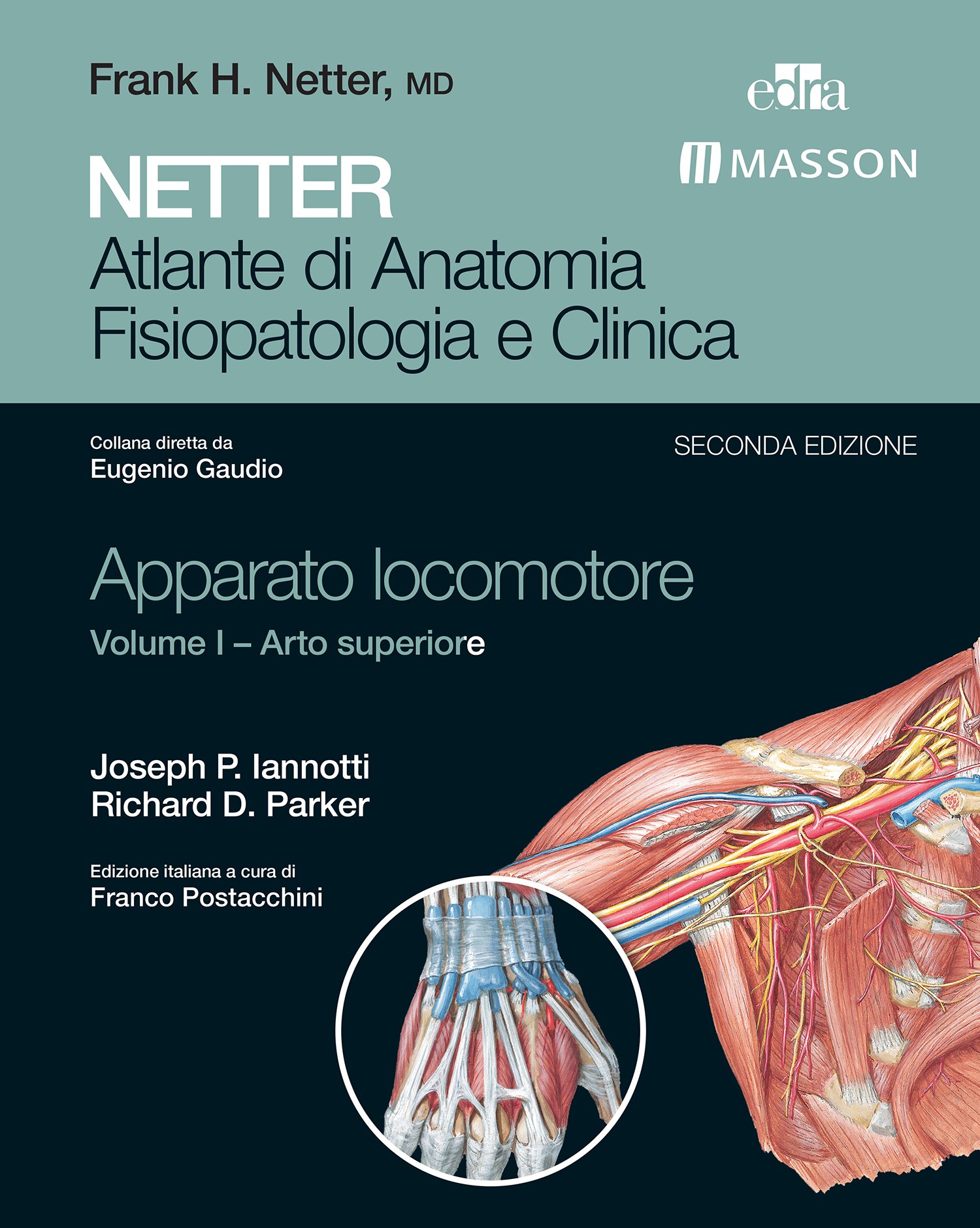 NETTER Atlante di anatomia fisiopatologia e clinica: Apparato Locomotore 1: Arto Superiore (NETTER Atlante di Anatomia Fisiopatologica e Clinica)