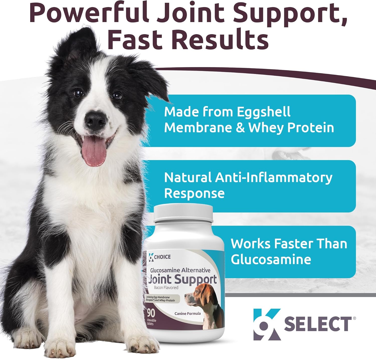 K9 Select Joint Support for Dogs with BiovaPlex - Glucosamine Alternative - 90 Chewable Tablets - Dog Joint Supplement For Mobility & Flexibilty - Hip & Joint