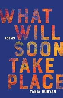 What Will Soon Take Place: Poems (Paraclete Poetry)