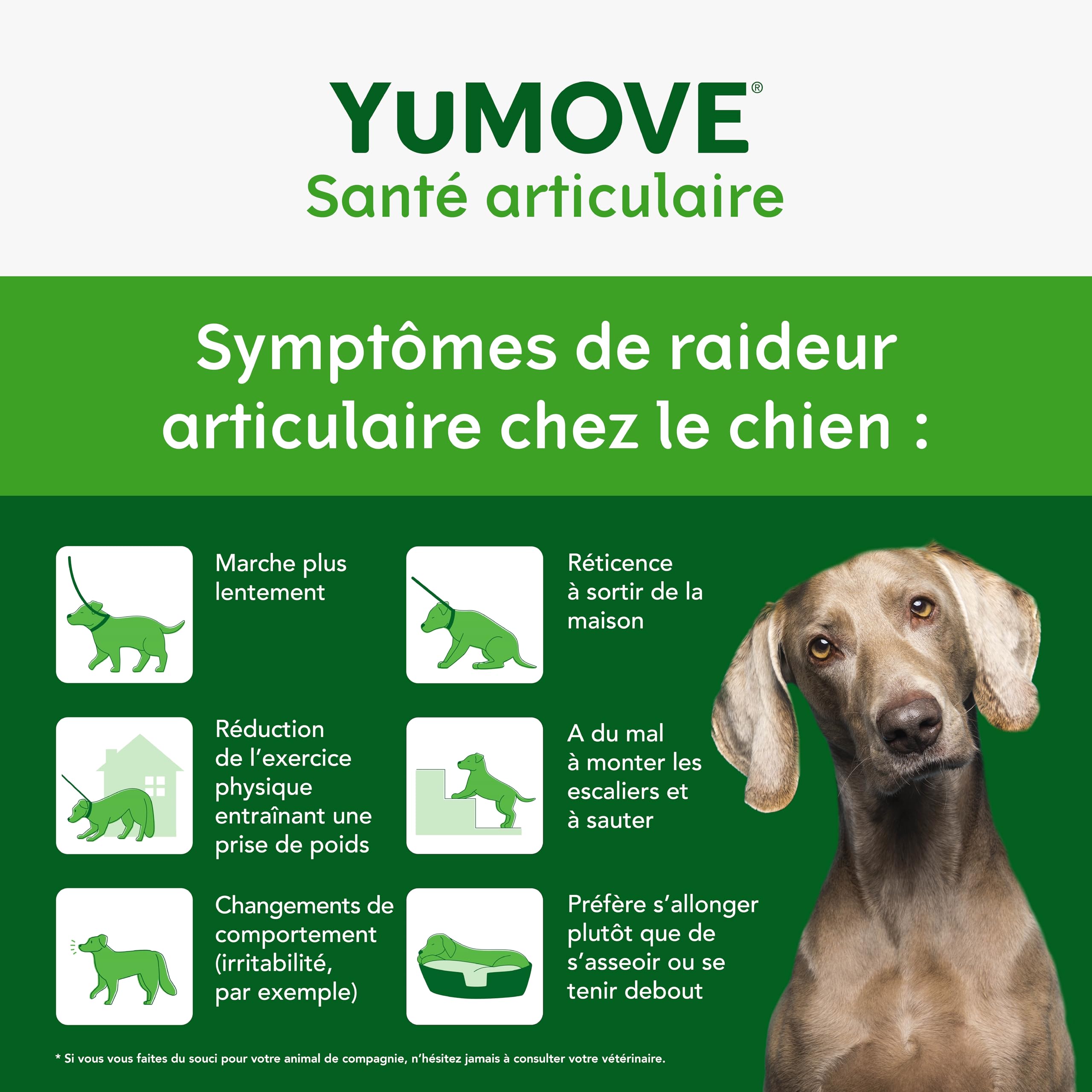 YuMOVE Arthrose Chien Senior 8+ Ans - 120 Comprimés - 170mg par Comprimé Brevet en Instance ActivEase Moule Verte - Glucosamine Chondroïtine et Acide Hyaluronique pour Mobilité Complément Articulation