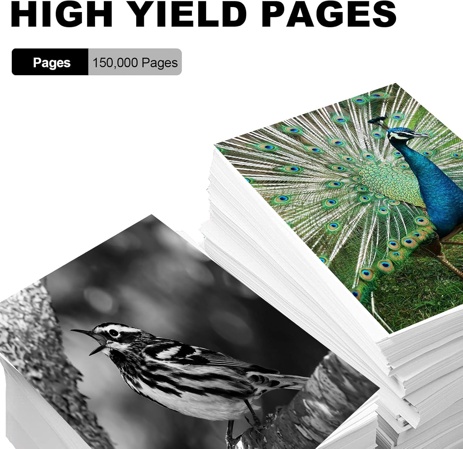 CE246A RM1-5550 Fuser Unit Replacement for HP CE246A CC493-67911 Fuser Unit Compatible with HP Color Printer CP4025 CM4540 CP4525 M651 M680 Fuser Kit(110V)