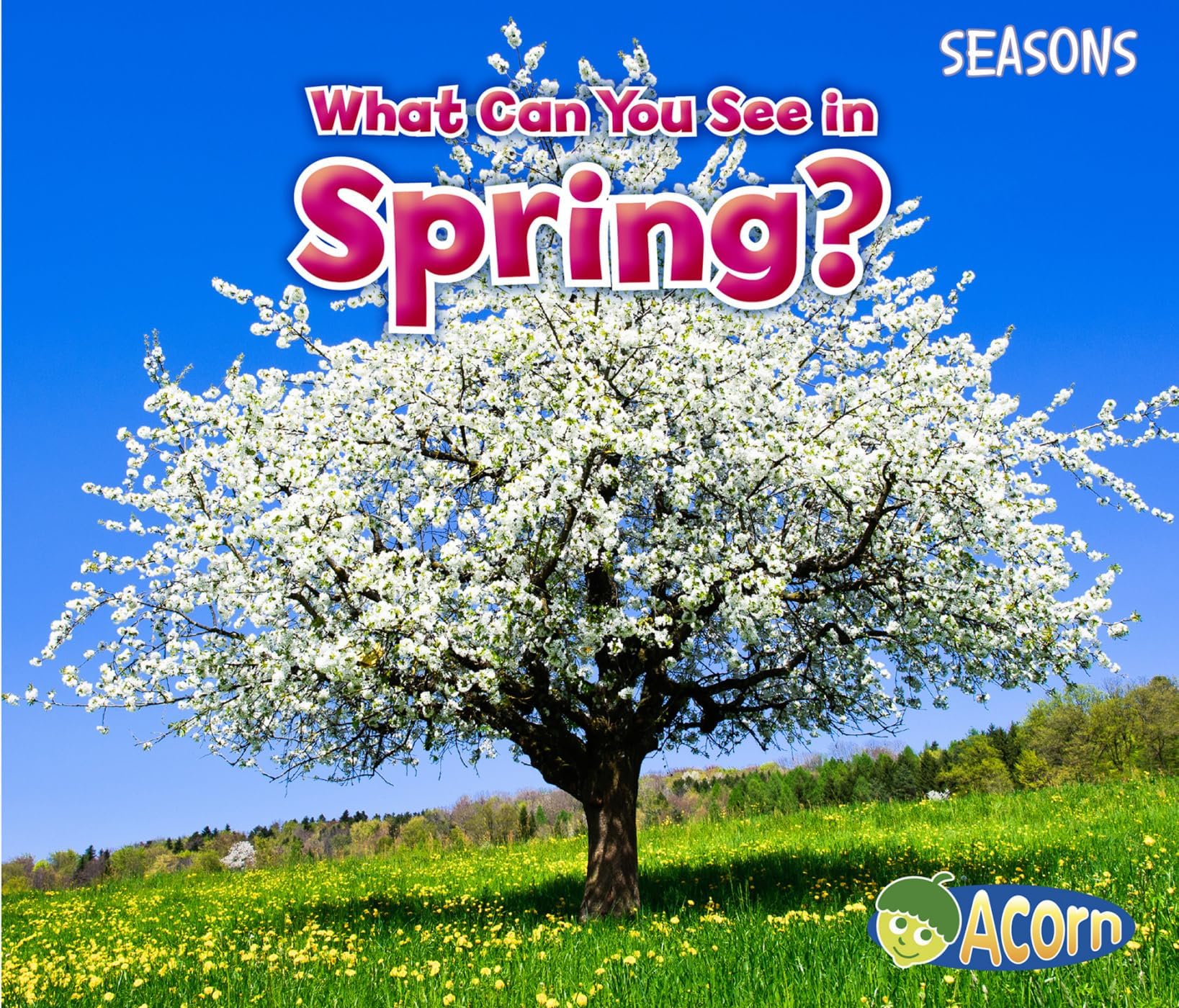 What Can You See in Spring? (Seasons: Acorn)