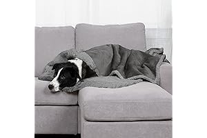 Pawsitively Cozy: Furhaven's Self-Warming Blanket for Ultimate Canine Comfort