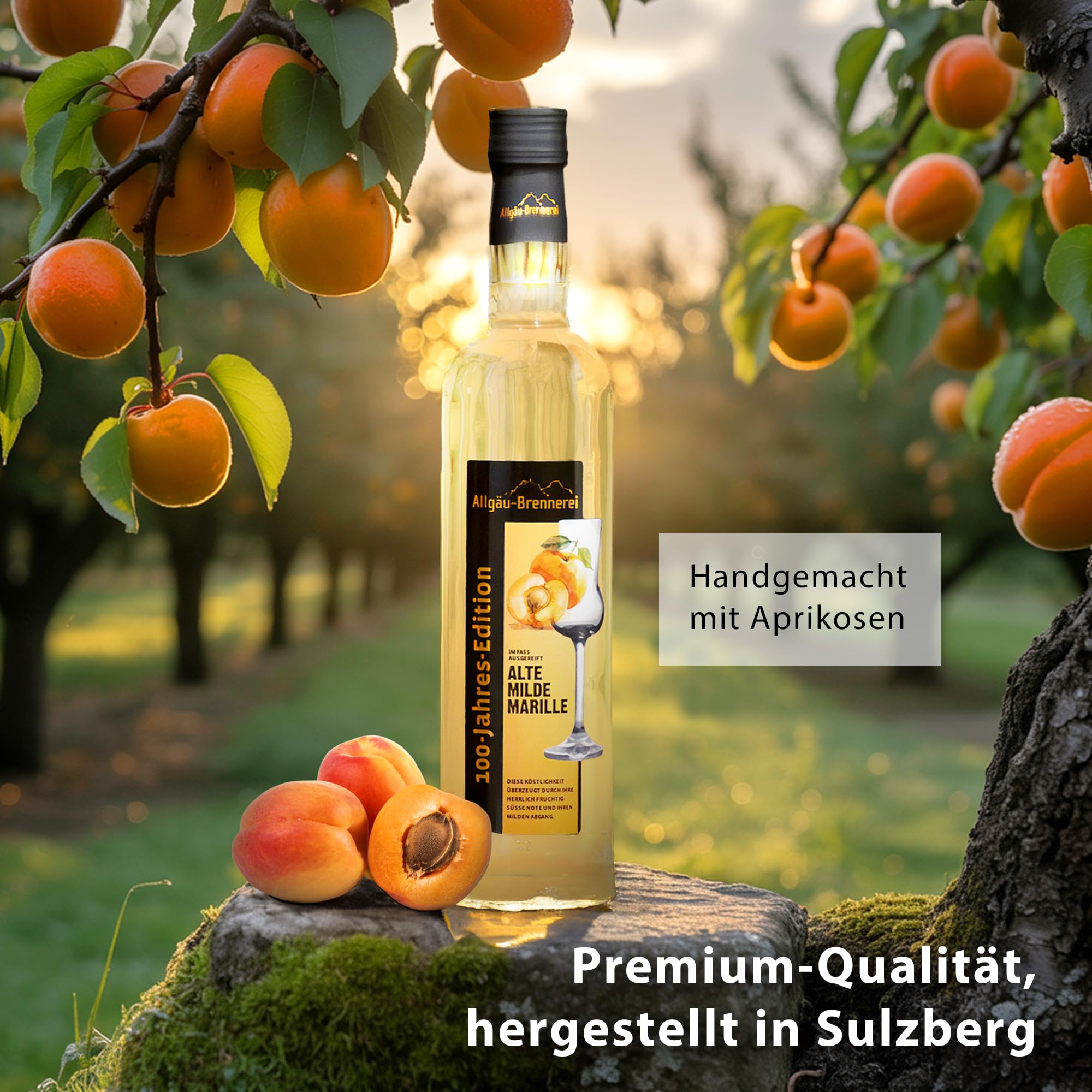Allgäu-Brennerei Alte Milde Marille Schnaps im Fass gereift 6x0,5L Vorteilsset - Handgemacht & Regional, Milder und Fruchtiger Marillenschnaps, Alte milde Marille, Allgäu-Brennerei Spezialität