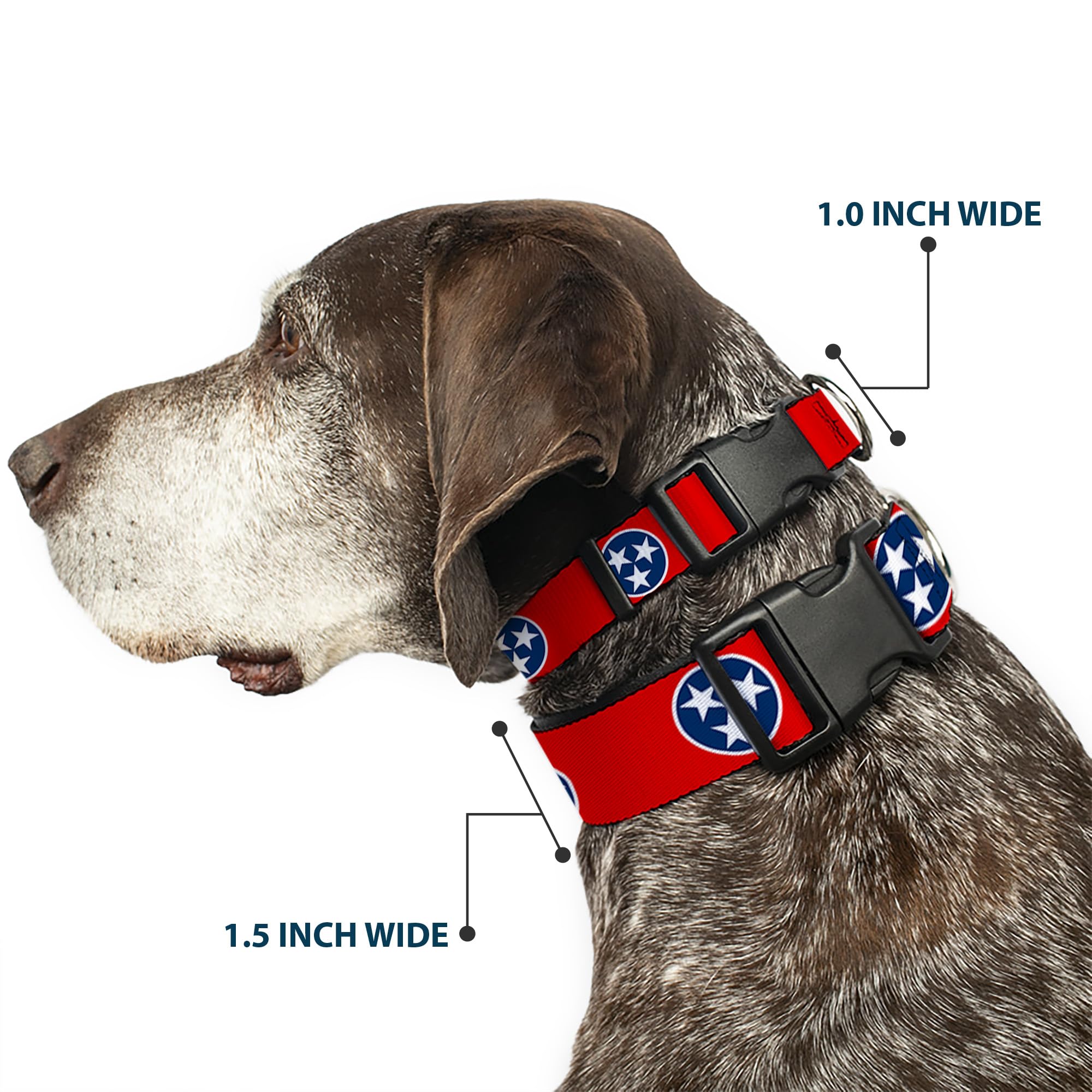 Buckle-Down Hundehalsband Tennessee Flagge – 20,3–30,5 Cm, Kunststoff-Clip, Nylon, Schwarz/weiß/blau