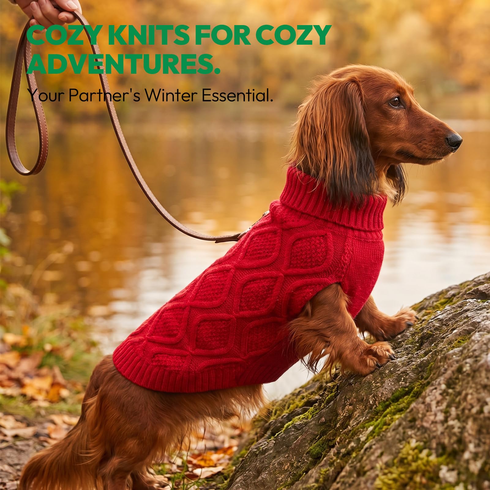 KONVINIT Hundepullover Kleine Hunde - Rollkragen Strickpullover Winter Warm