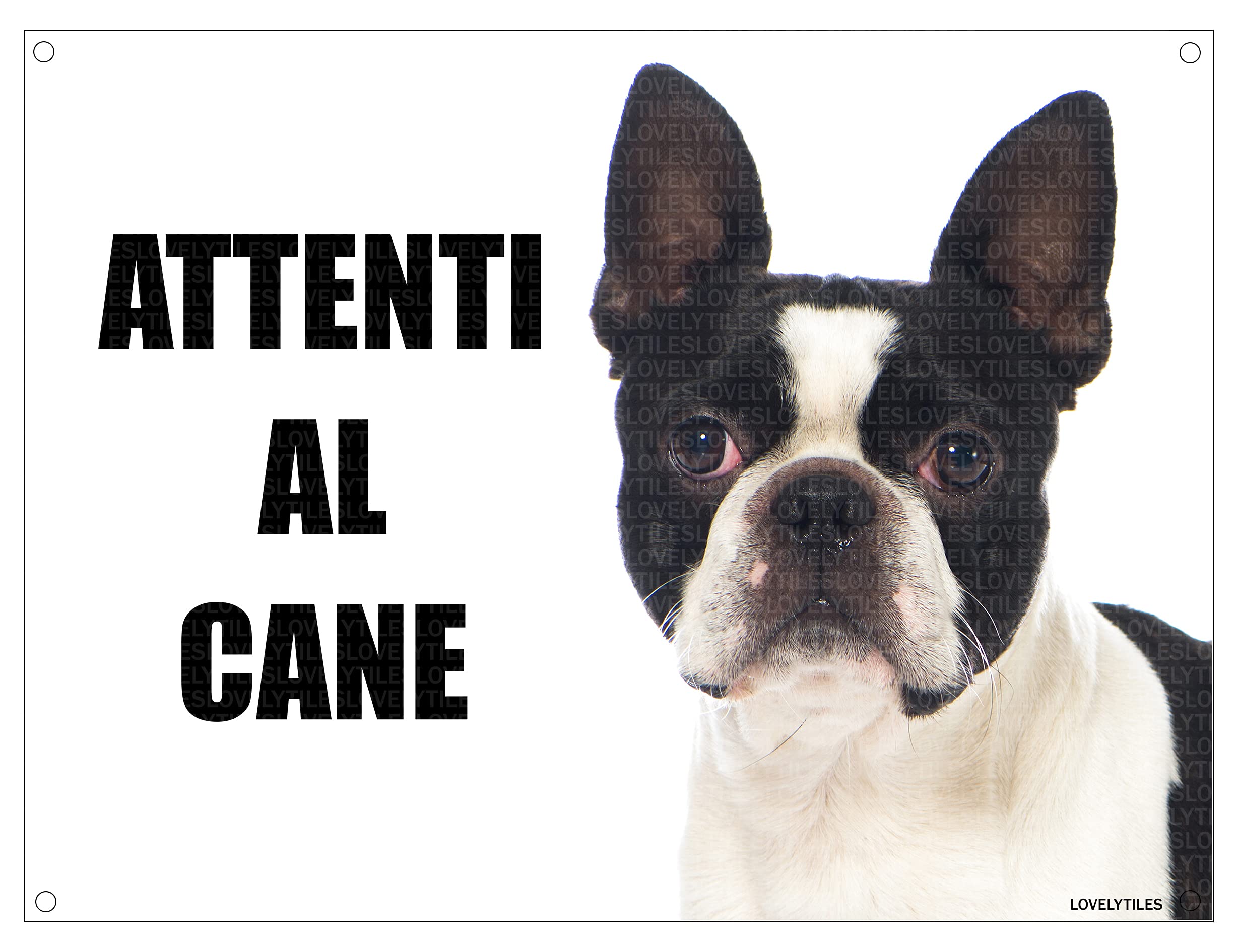 Targa Attenti Al Cane | Confronta prezzi