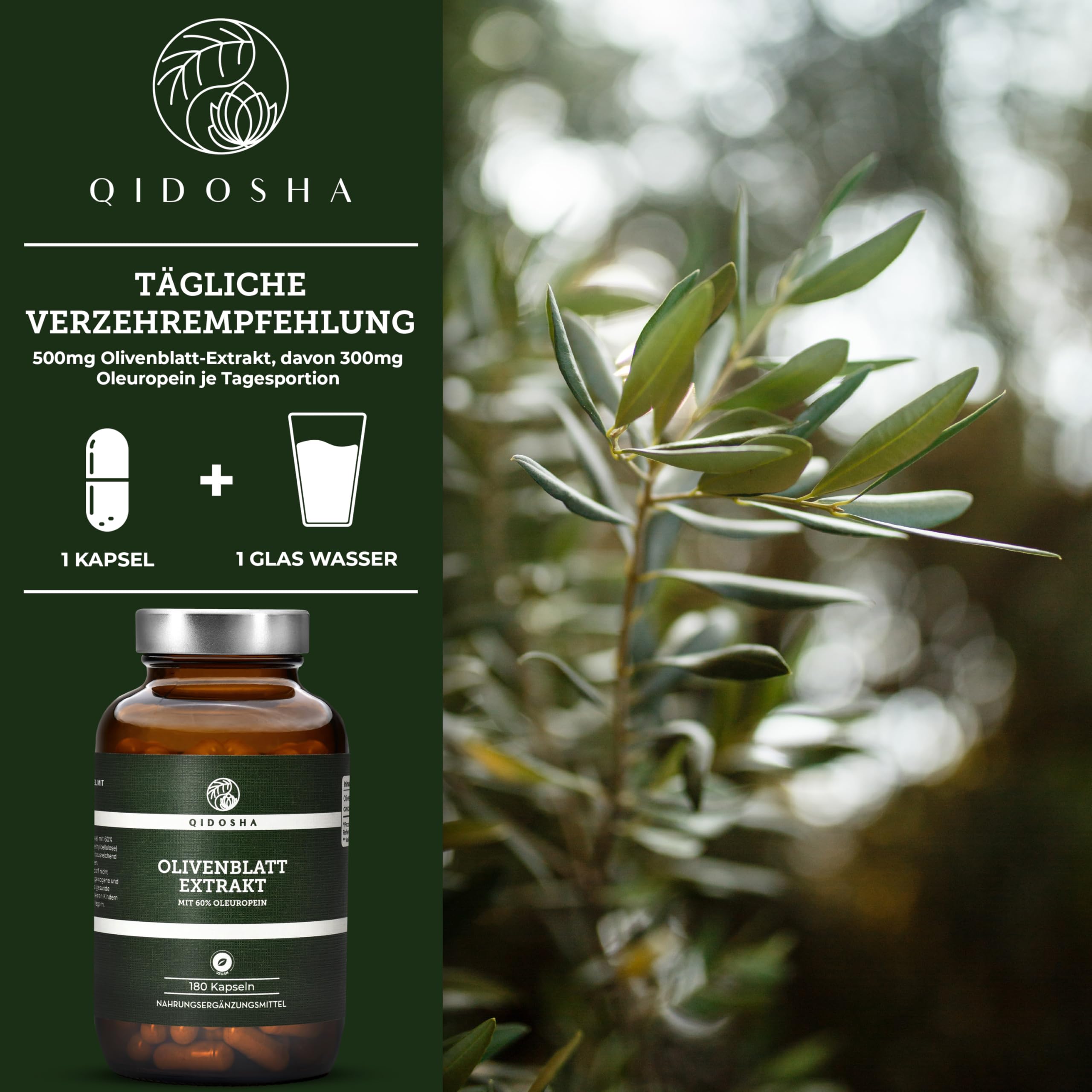 QIDOSHA® Olivenblatt Extrakt hochdosiert mit 60% Oleuropein, 180 Kapseln, höchster Oleuropein-Gehalt im Markt, jede Charge u.a. auf Pestizide und Schwermetalle in externem Labor geprüft