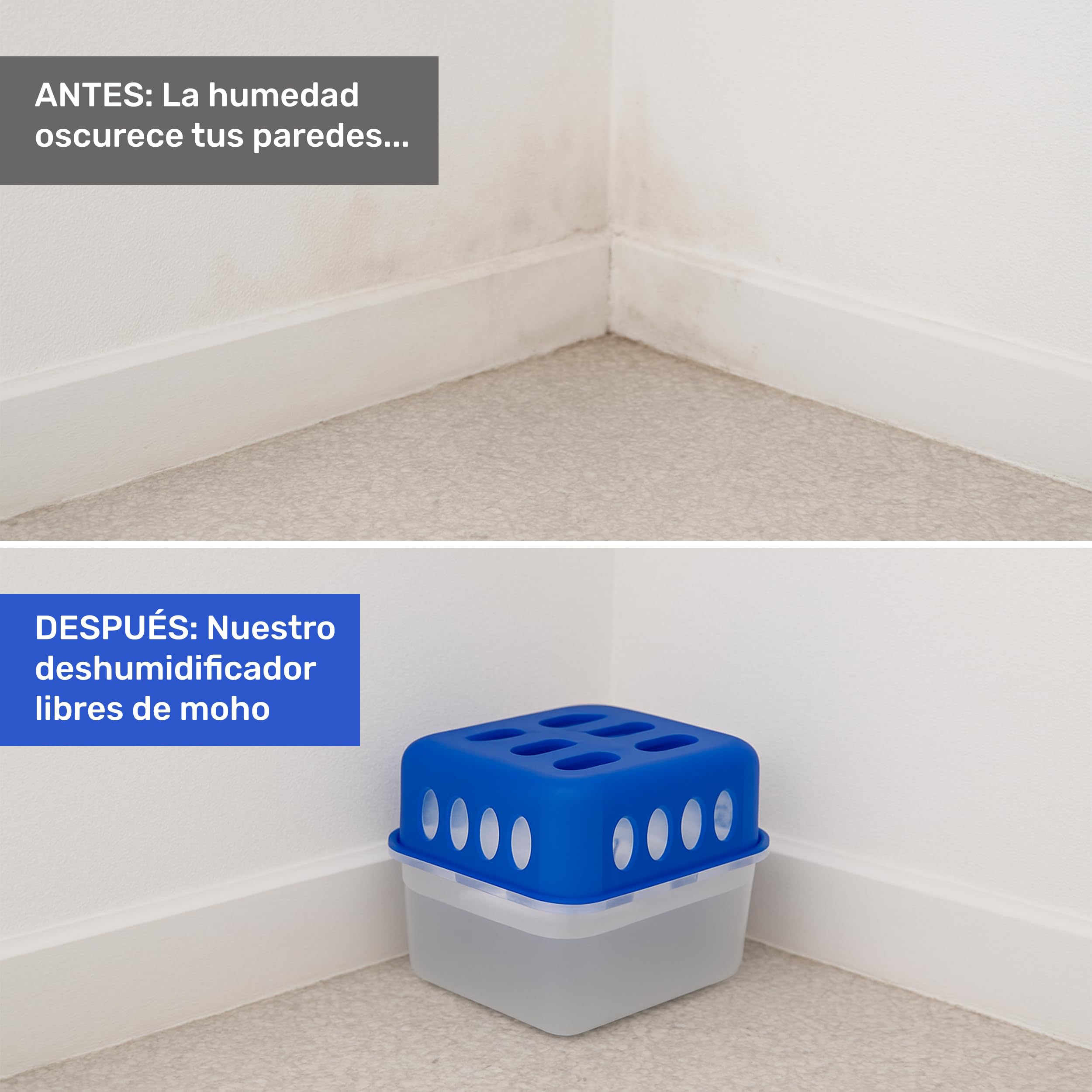 Pack de 6 Recambios Antihumedad de 1000g para Deshumificado, Eliminador de Condensación - Elimina Malos Olores, Antimoho para Armarios, Cajones, Habitaciones