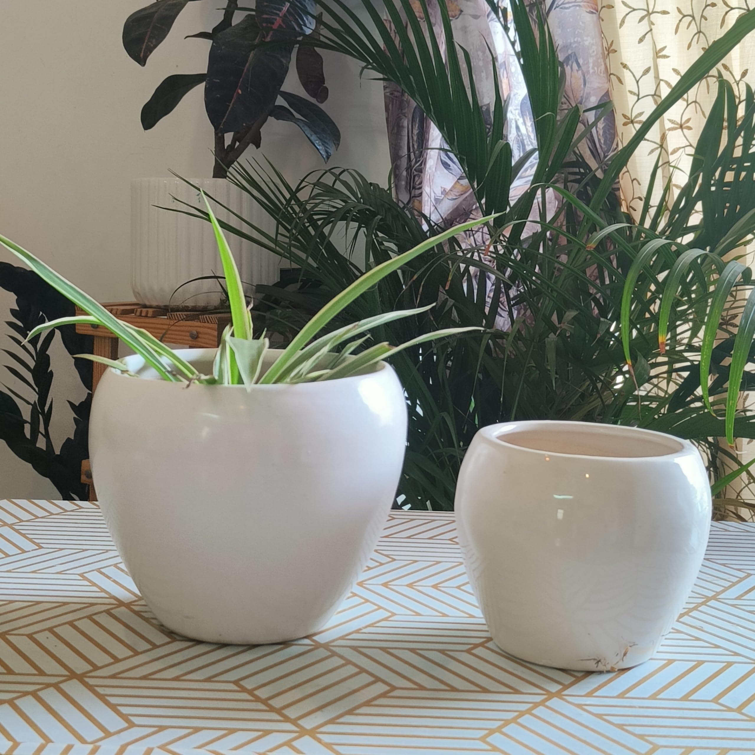 Niyara Apple Combo Stylish Ceramic Pots for Indoor Plants,Succulent,Outdoor,Balcony,Home,Garden,Office Size -Small 6 & 4 inches (White Apple Combo) (B0CLVL3C7S) Amazon Price History, Amazon Price Tracker