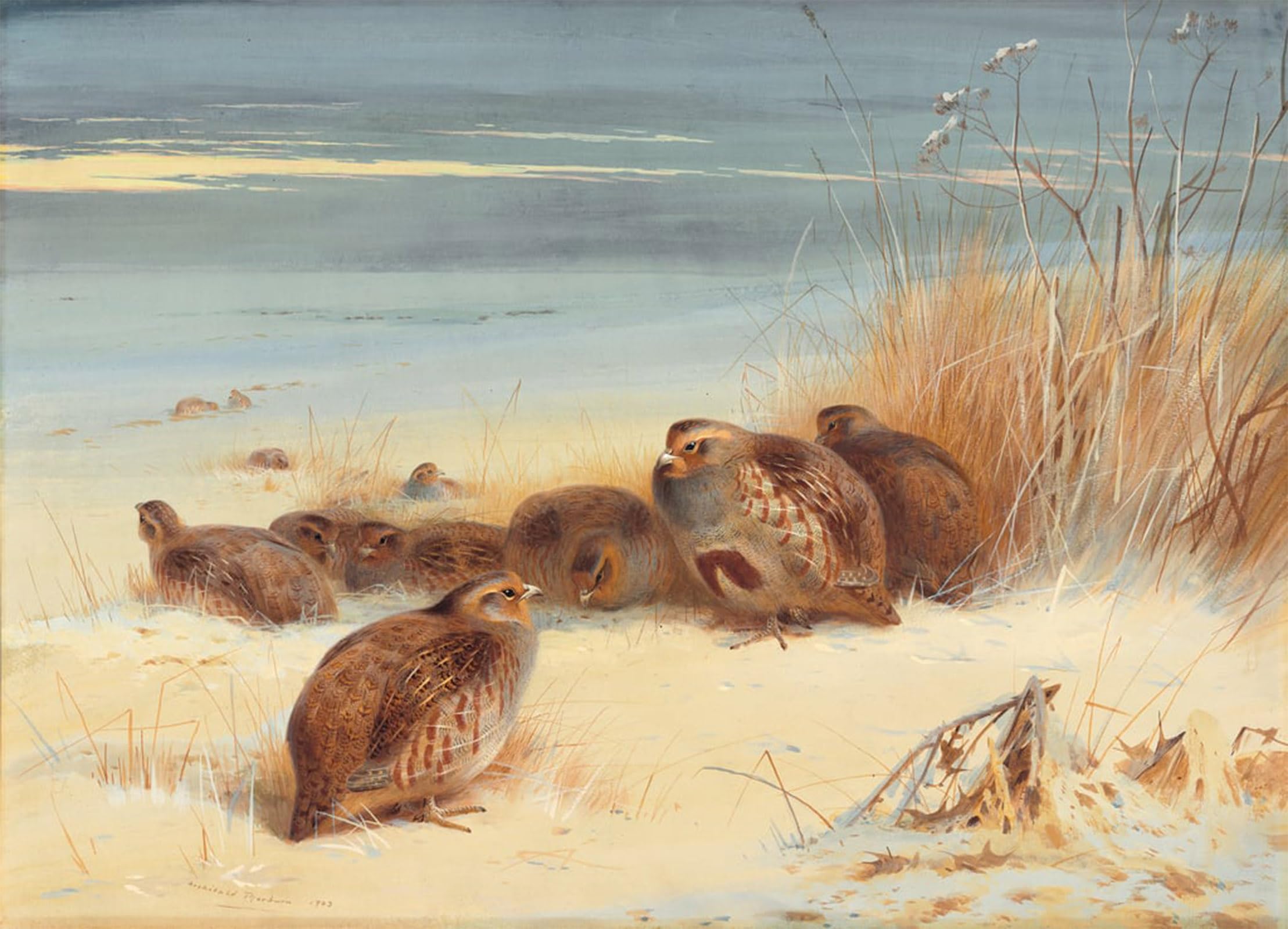 ARTXLXXBN Famous Painting Art Wall Decor Abstract Art Picture Partridge on a Frosty Morning by Archibald Thorburn Animal Pictures for Home Decor 60x90cm