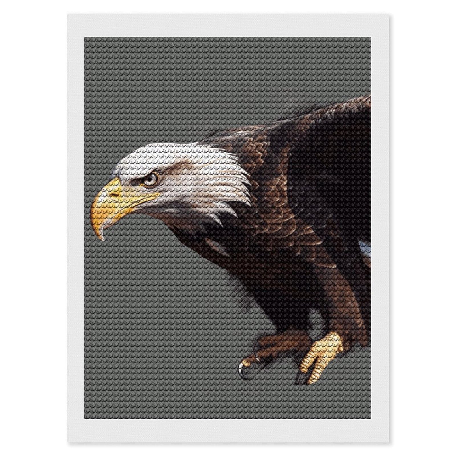 NONHAI Diamond Painting Kits for Adults - DIY Diamond Art Kits for Beginners - Full 5D Paint Drill Diamond Dots Paintings- Eagle Diamonds Pictures Gem Art and Craft Wall Decor 12"x16"