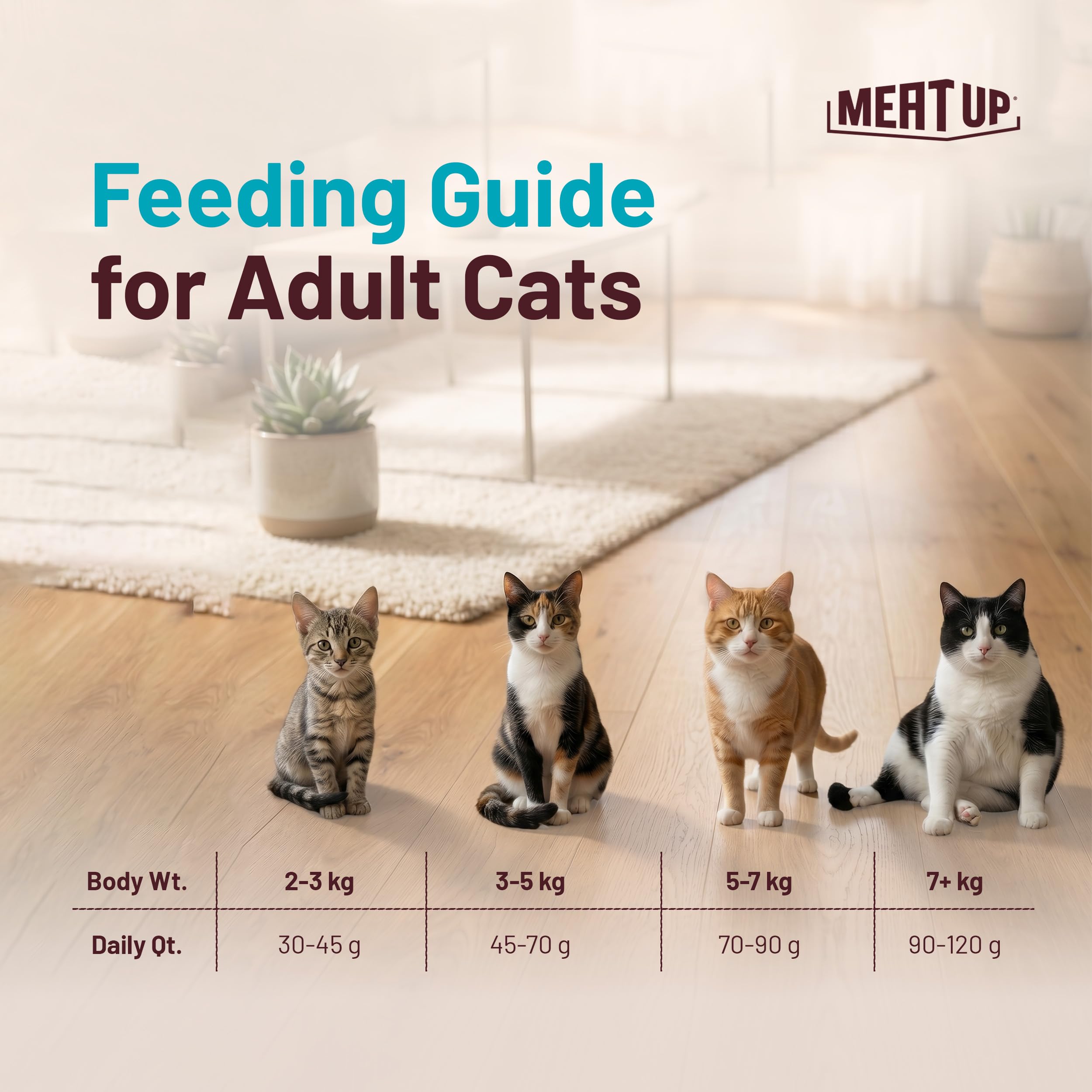 Meat Up Adult Dry Cat Food (2 x 1.2Kg), Total 2.4Kg | Tuna & Salmon Flavour | Supports Urinary pH Balance | Reduces Hairball Formation | Promotes Skin & Coat Health | Taurine for Cardiac Support 2