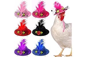 Chicken Hats for Hens - Keep Your Chickens Stylish and Protected with...