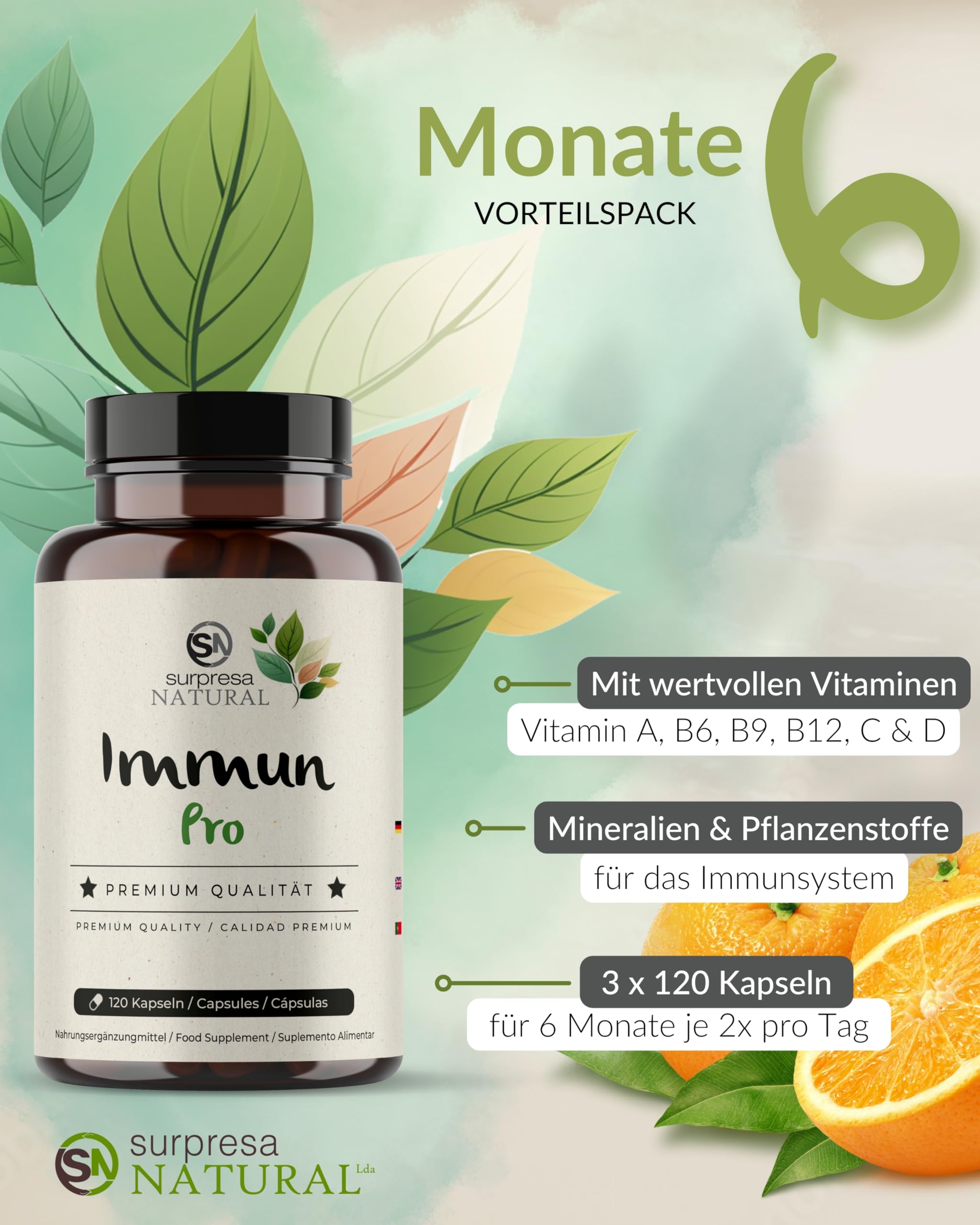 12 in 1 Immun Pro I 3x 120 Kapseln I Multivitamin Booster hochdosiert I Vitamin A, B6, B9, B12, C, D, Eisen, Kupfer, Selen, L-Histidin, Astragalus & Zink I vegane Multivitamin Kapseln
