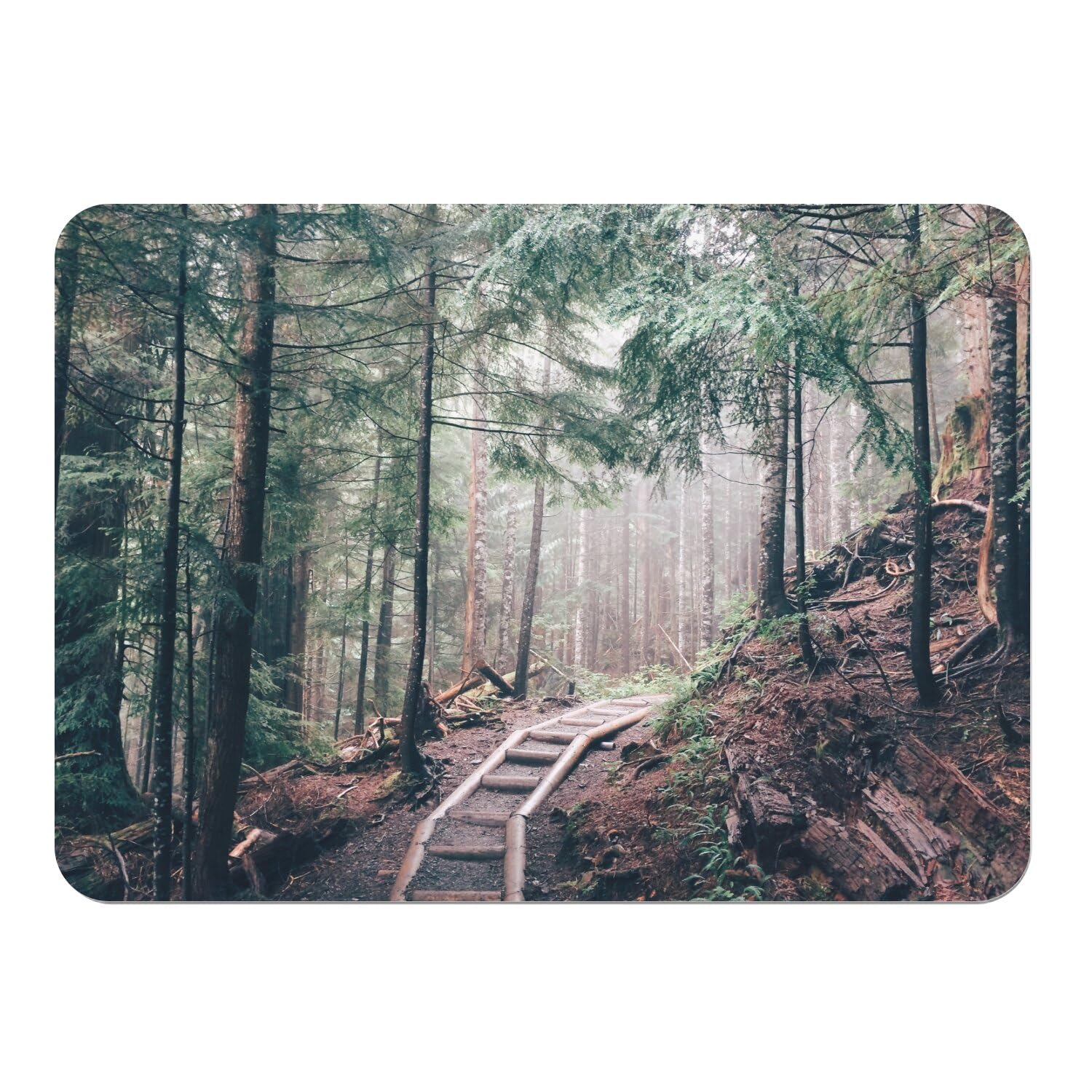 Napperons souples en liège anti-rayure grand format 39,5x28,5cm motif forêt
