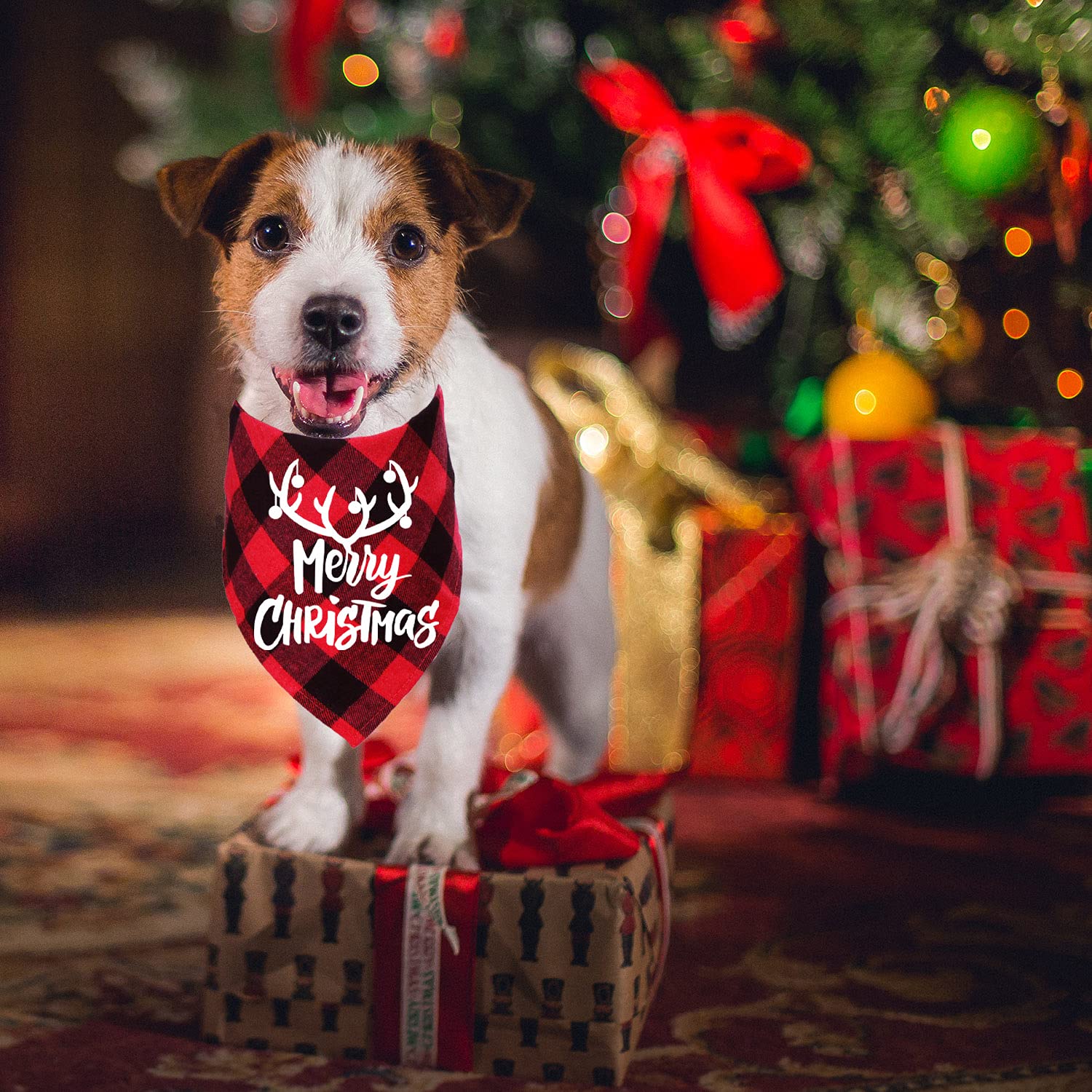 STMK Confezione da 2 bandane natalizie per cani, motivo natalizio con motivo a quadri, per feste di Natale, per cani di taglia piccola e media taglia (rosso e verde, Buon Natale)