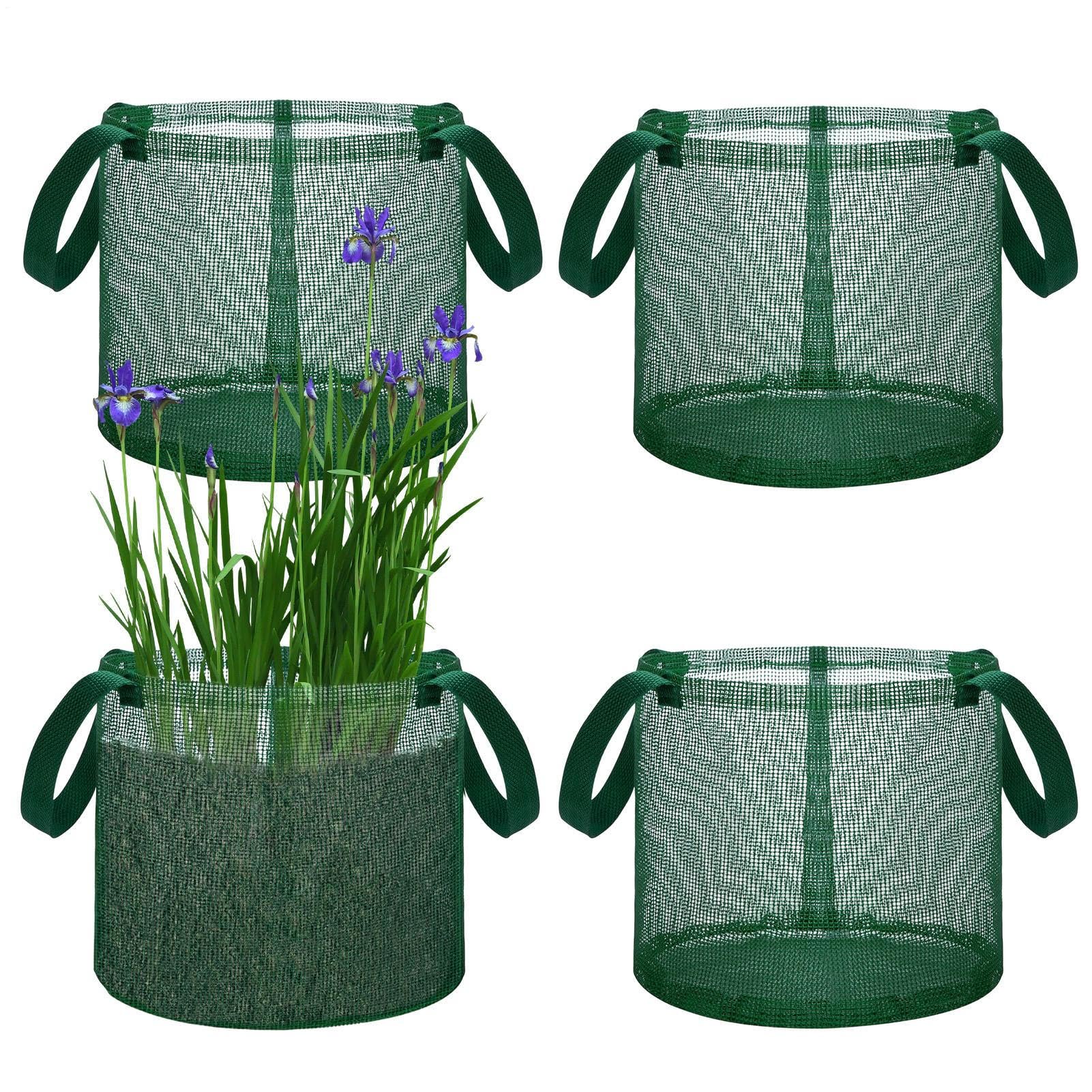 Genérico Cestas para Plantas de Estanque - 4 Cestas Plegables para Plantas hidropónicas | Contenedor para nenúfares - para Acuario, Piscina, Plantar Fresas, Nenúfares