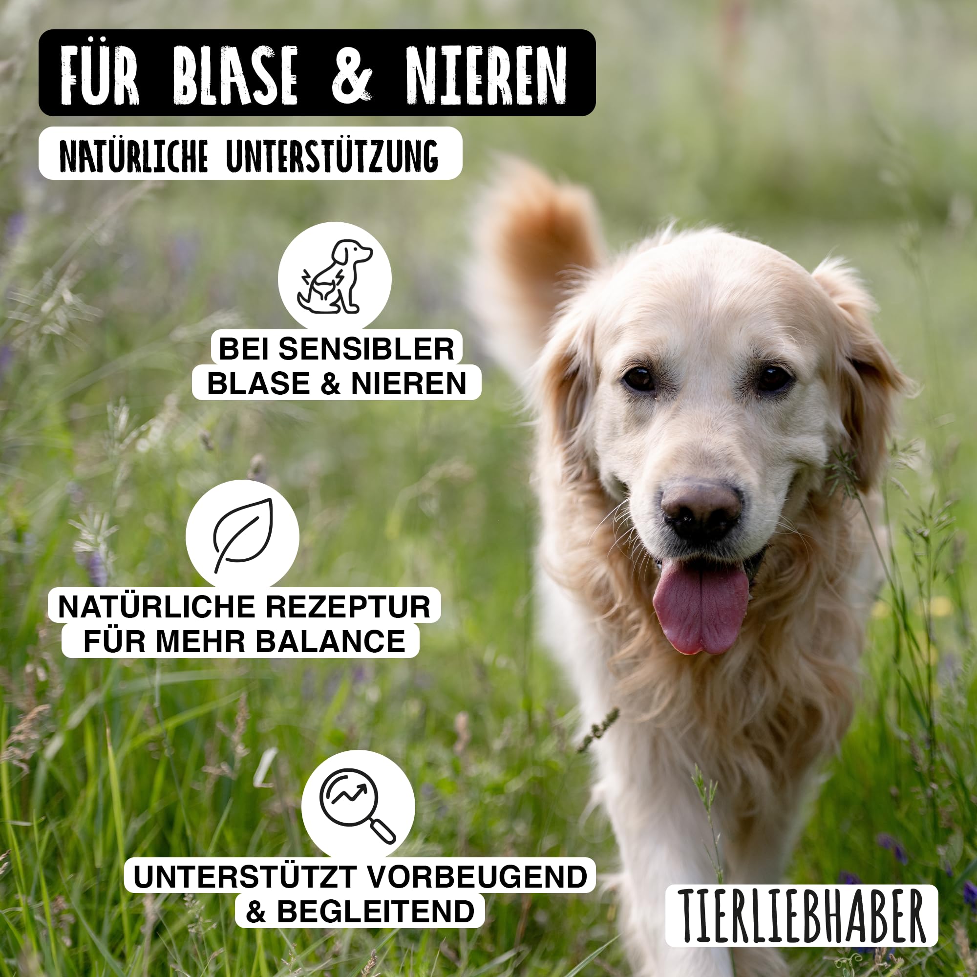 TIERLIEBHABER Nieren Leckerli Hund – Nierenfutter Hund als Hundeleckerli | Tierärztlich entwickelte Harn & Nieren Drops – Als Unterstützung der Blasen- und Nierenfunktion – 350g