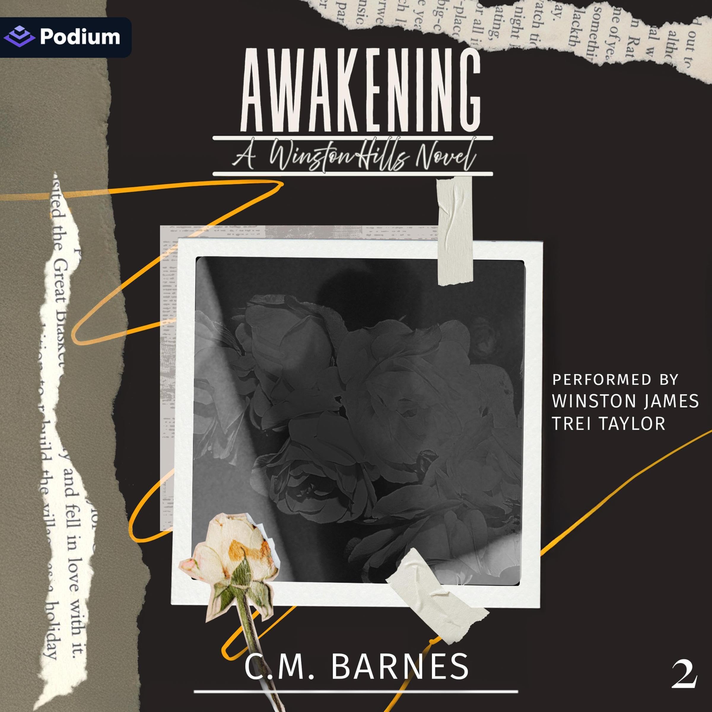 Cover art for Awakening