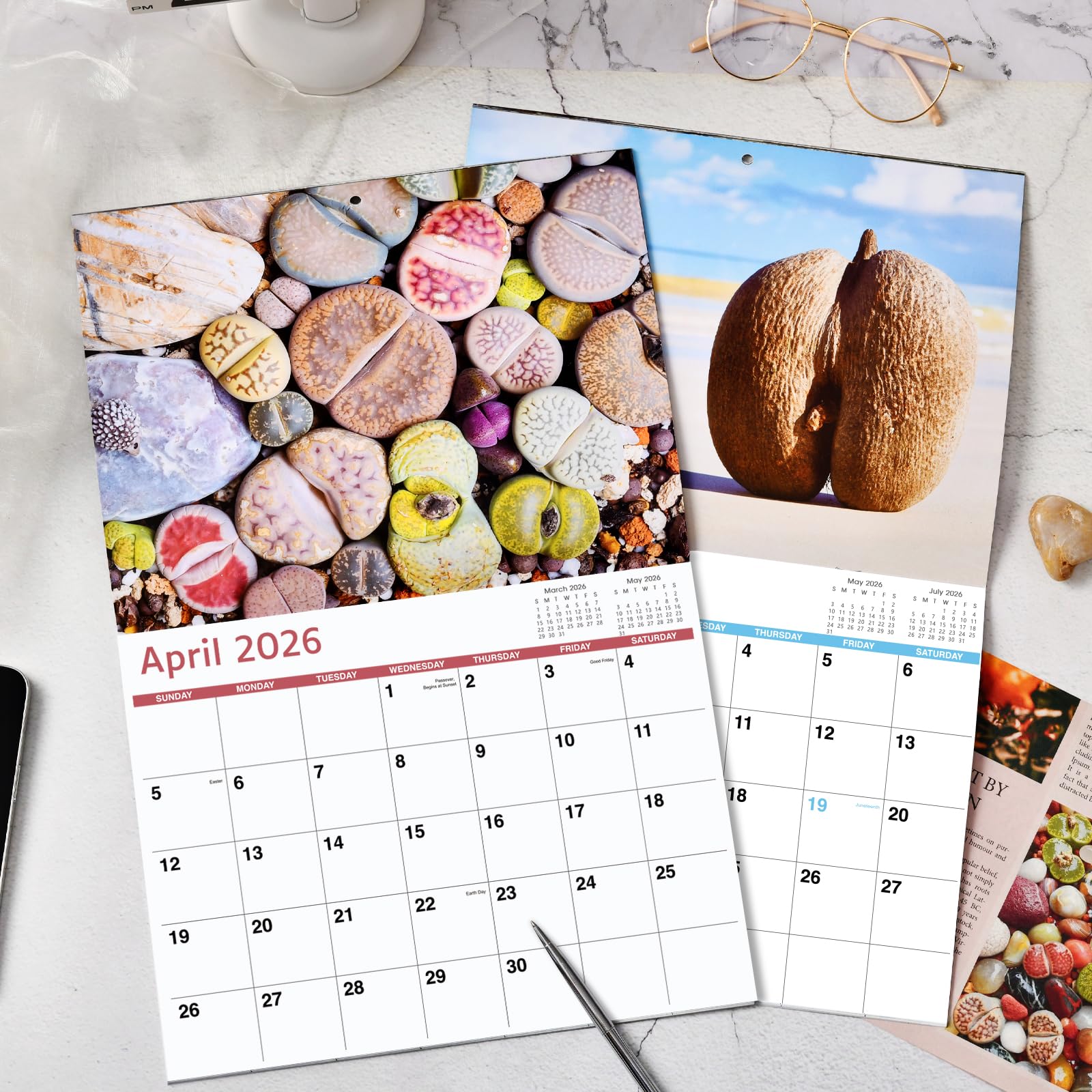 Amazon.co.jp: 2024年カレンダー - ギャグギフト おもしろカレンダー