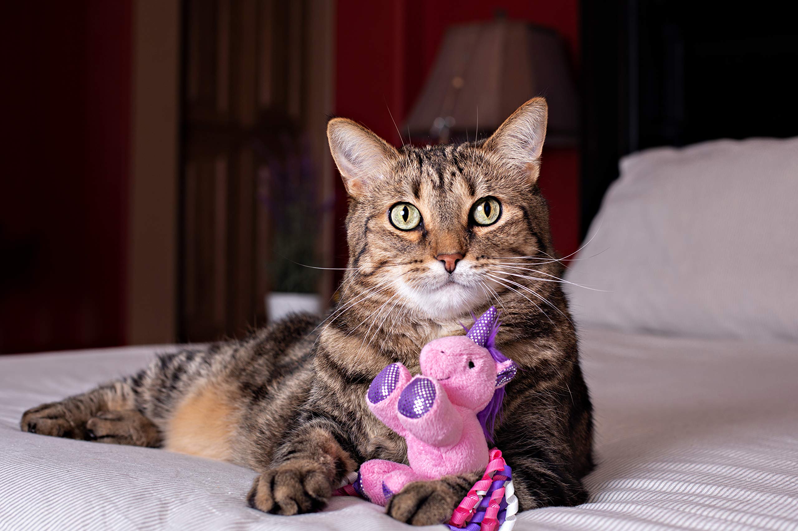 Amazon.com: Multipet Unicorn w/Catnip for Cats, Assorted