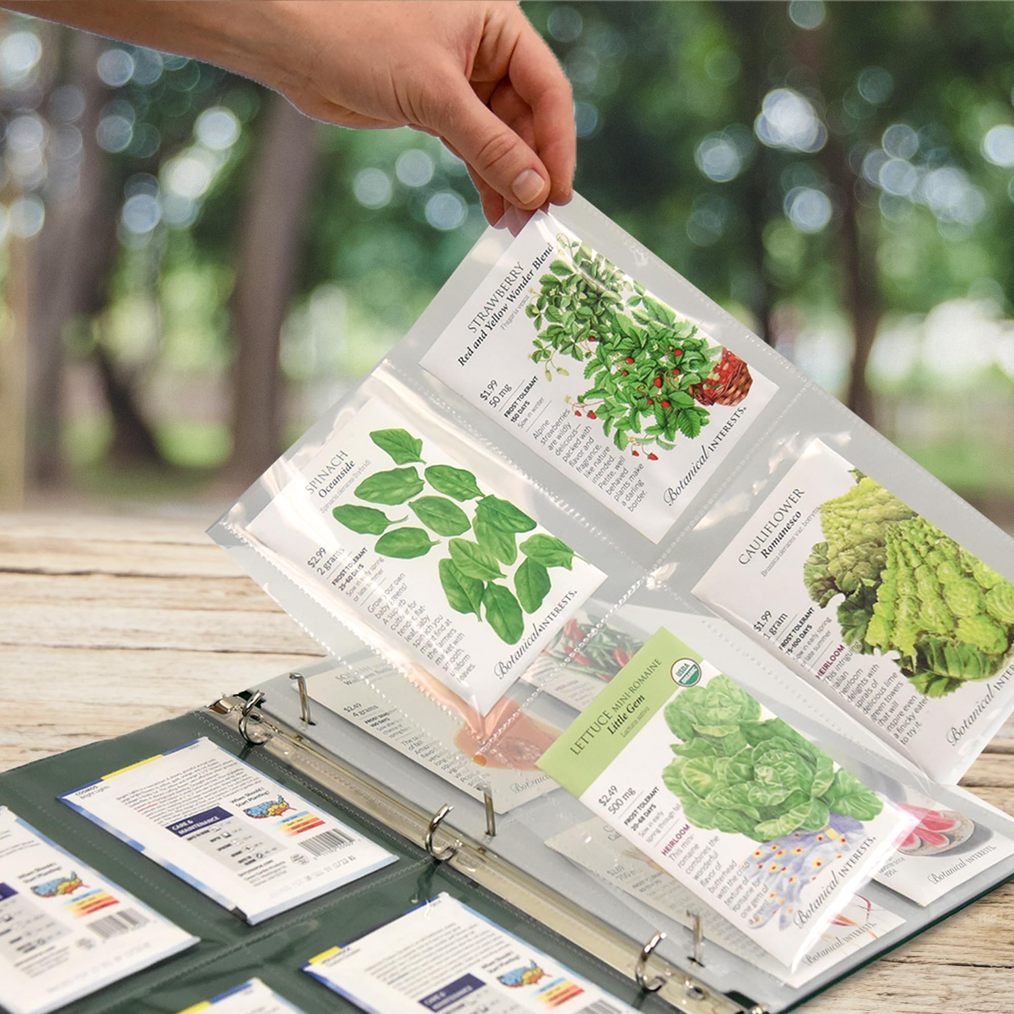 Samsill 50 sztuk 4 kieszonkowych przezroczystych ochraniaczy na kartki, karty indeksowe, kupony i nasiona ogrodowe – każda kieszeń mierzy 8,9 cm x 13,3 cm, pasuje do standardowego segregatora 3