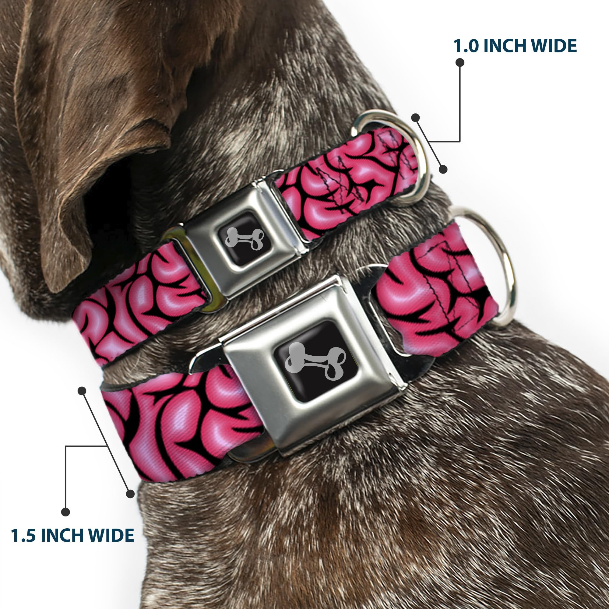 Buckle-Down 33-45 cm Brains czarna/różowa obroża dla psa, szeroka, mała