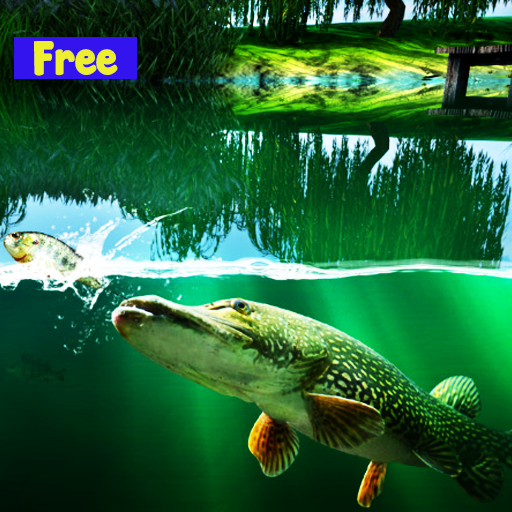 Fishing's Frenzy at Willow Pond Free