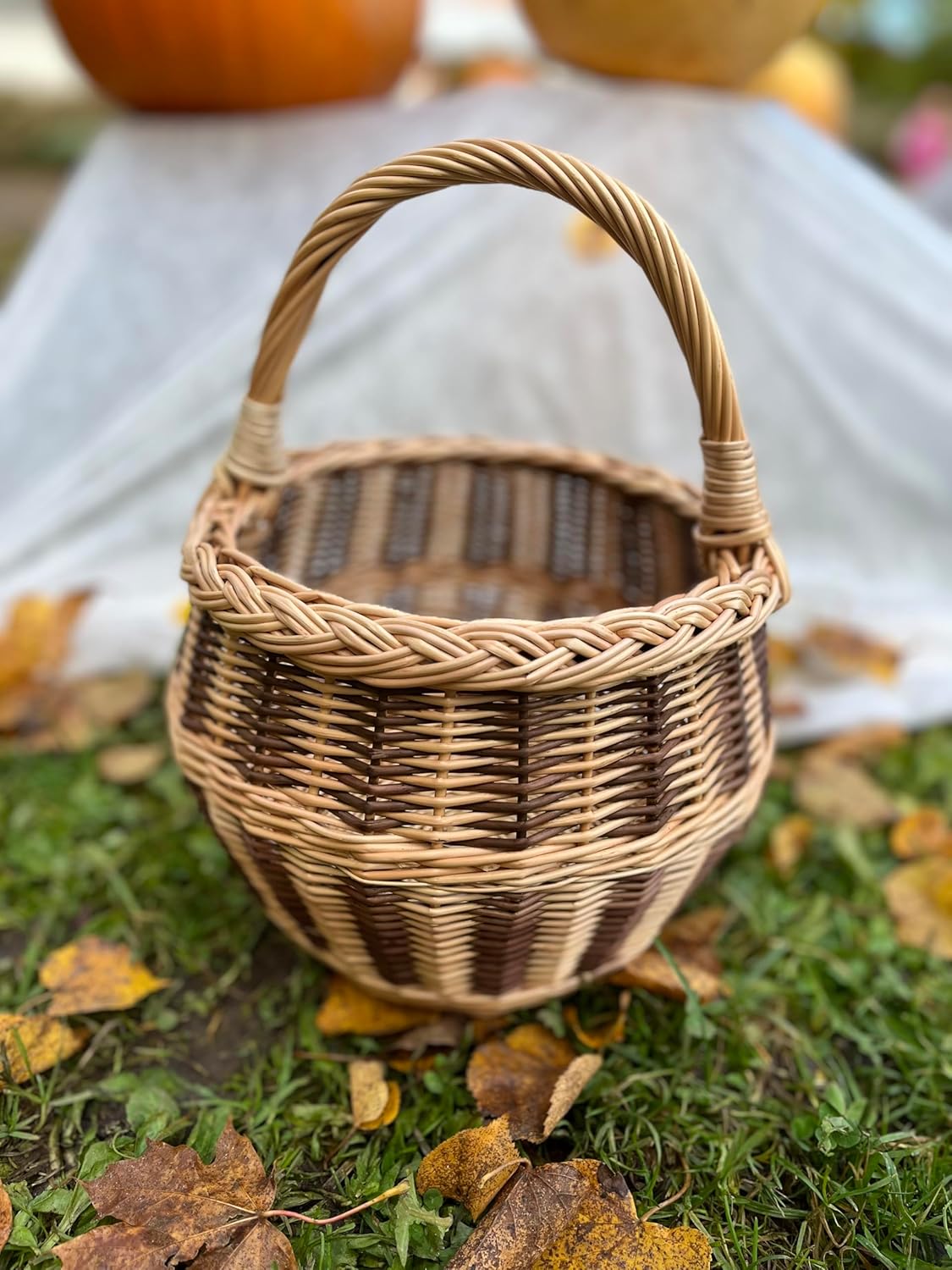 Small Wicker Basket – Handwoven Willow Rustic Decorative Market Basket with Handle – 22 x 23 x 28 cm (8.7 x 9.1 x 11 in) – Eco-Friendly Gift or Flower Girl Basket (#2)
