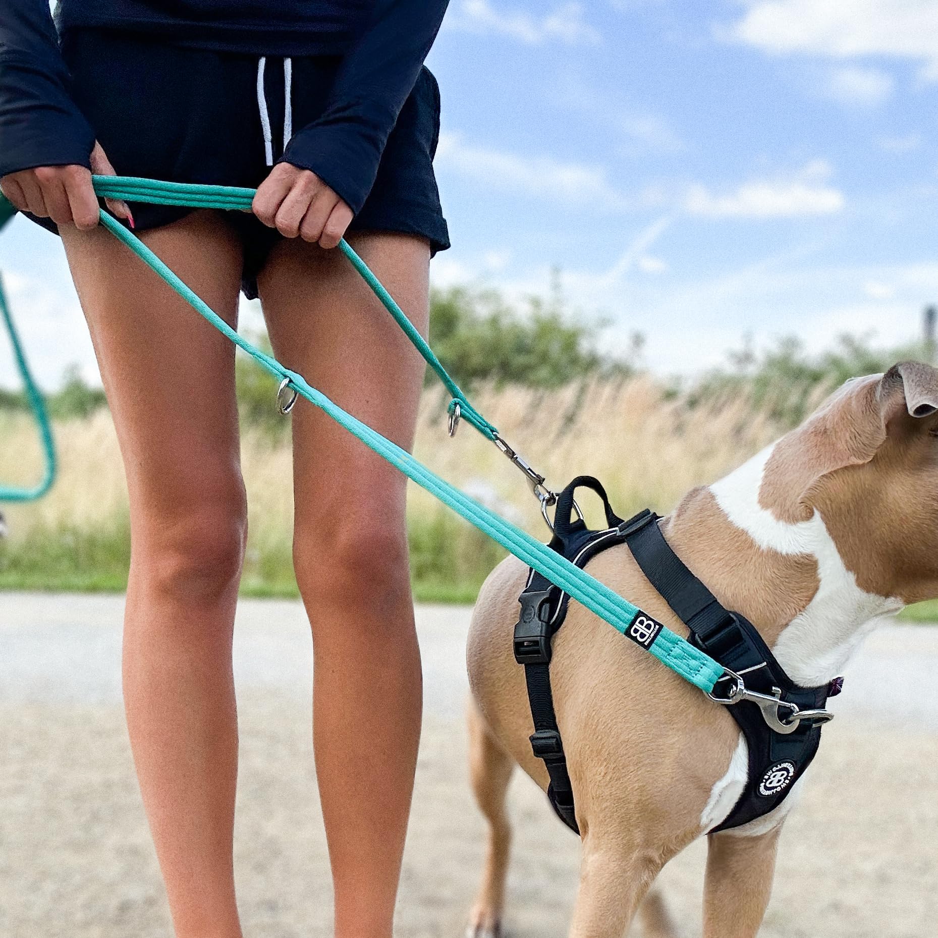 BullyBillows Laisse multifonction à double extrémité pour chien - Longueur moyenne ou longue - Pour le travail d'obéissance ou l'entraînement à distance - Kaki