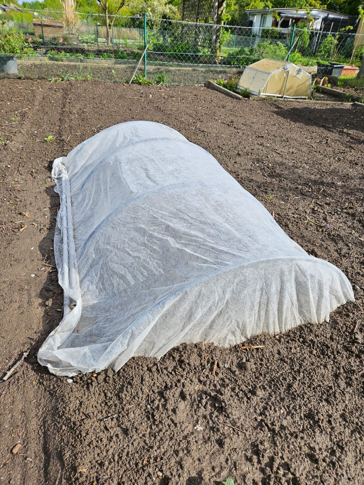 EraGreen Abdeckvlies 19g/m² - 3,2m x 40m - Frostschutzvlies für Pflanzen, atmungsaktiver Wachstumsvlies, Frühbeetvlies, Gartenvlies zur Abdeckung von Gemüsebeeten