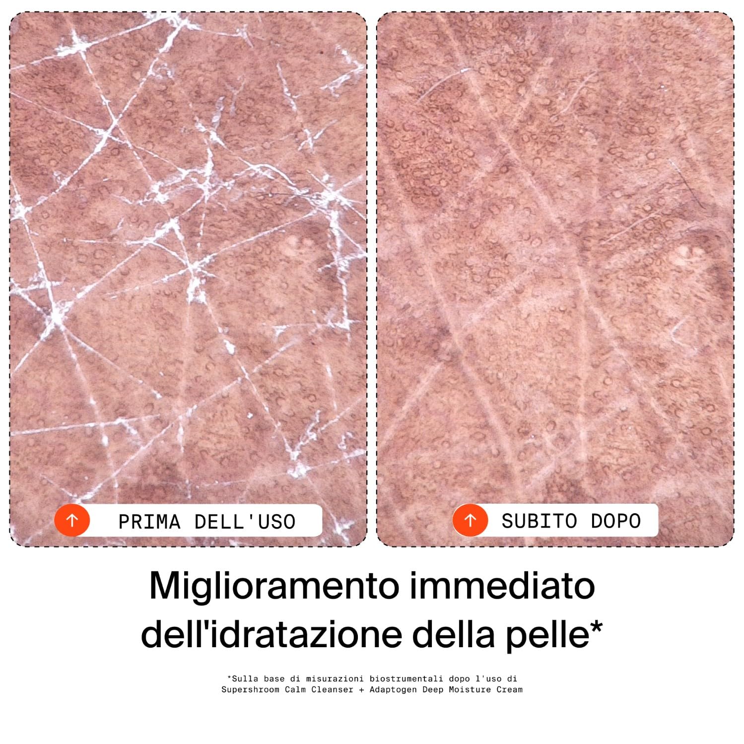 Youth To The People Supershroom Cleanser Detergente Viso Quotidiano, Lenisce le Irritazioni, Nutre la Pelle, Non Comedogenico, Struccante Delicato, Oftalmologicamente Provato