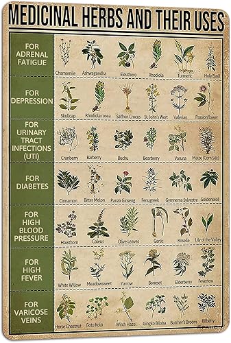 PAIION Carteles metálicos de hierbas medicinales y sus usos, decoración de pared, 8 x 12 pulgadas