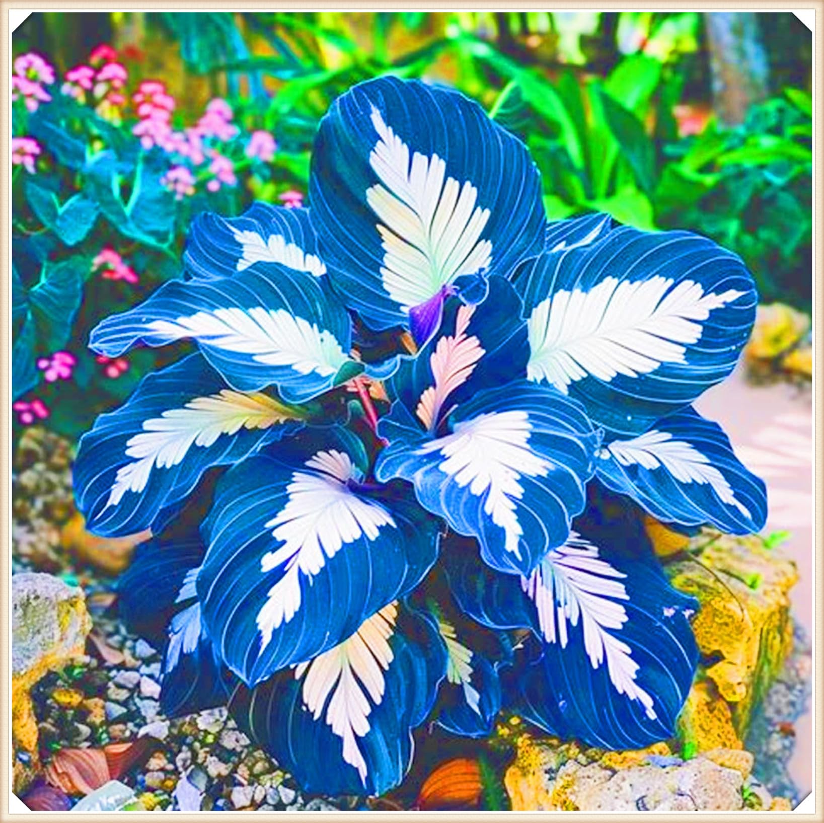 Rapid Growth Easy Planting Hostas Plants UK Garden Flowers Wedding Flowers-6Bulbs-d โ image 1