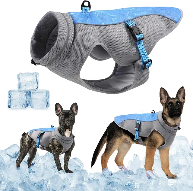 Gilet Rafraîchissant pour Chien - Manteau Respirant avec Protection UV - Bleu M