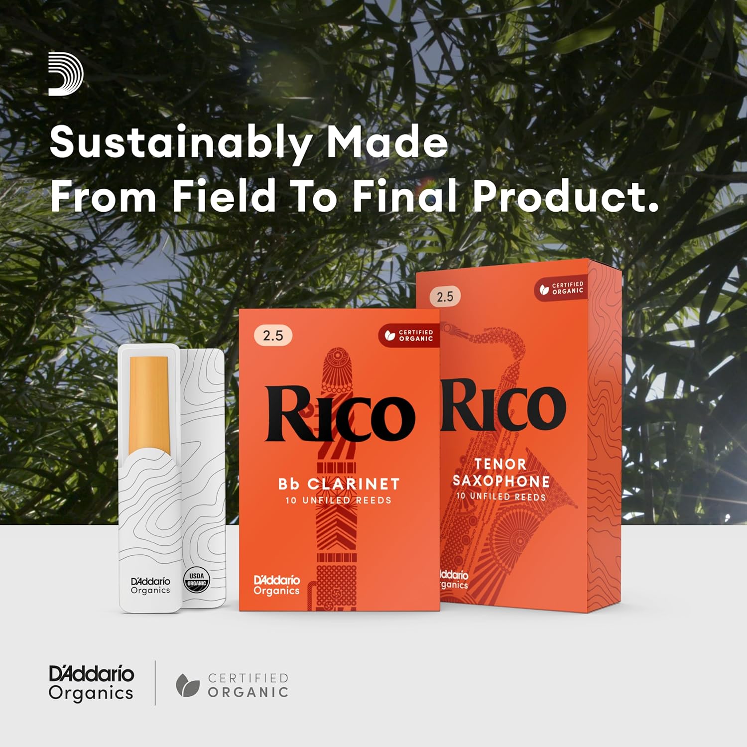 D’Addario Woodwinds - Rico Soprano Sax Reeds - Soprano Saxophone Reeds - Soprano Reeds Crafted for Beginners, Students, Educators - Strength 2.5, 10-Pack